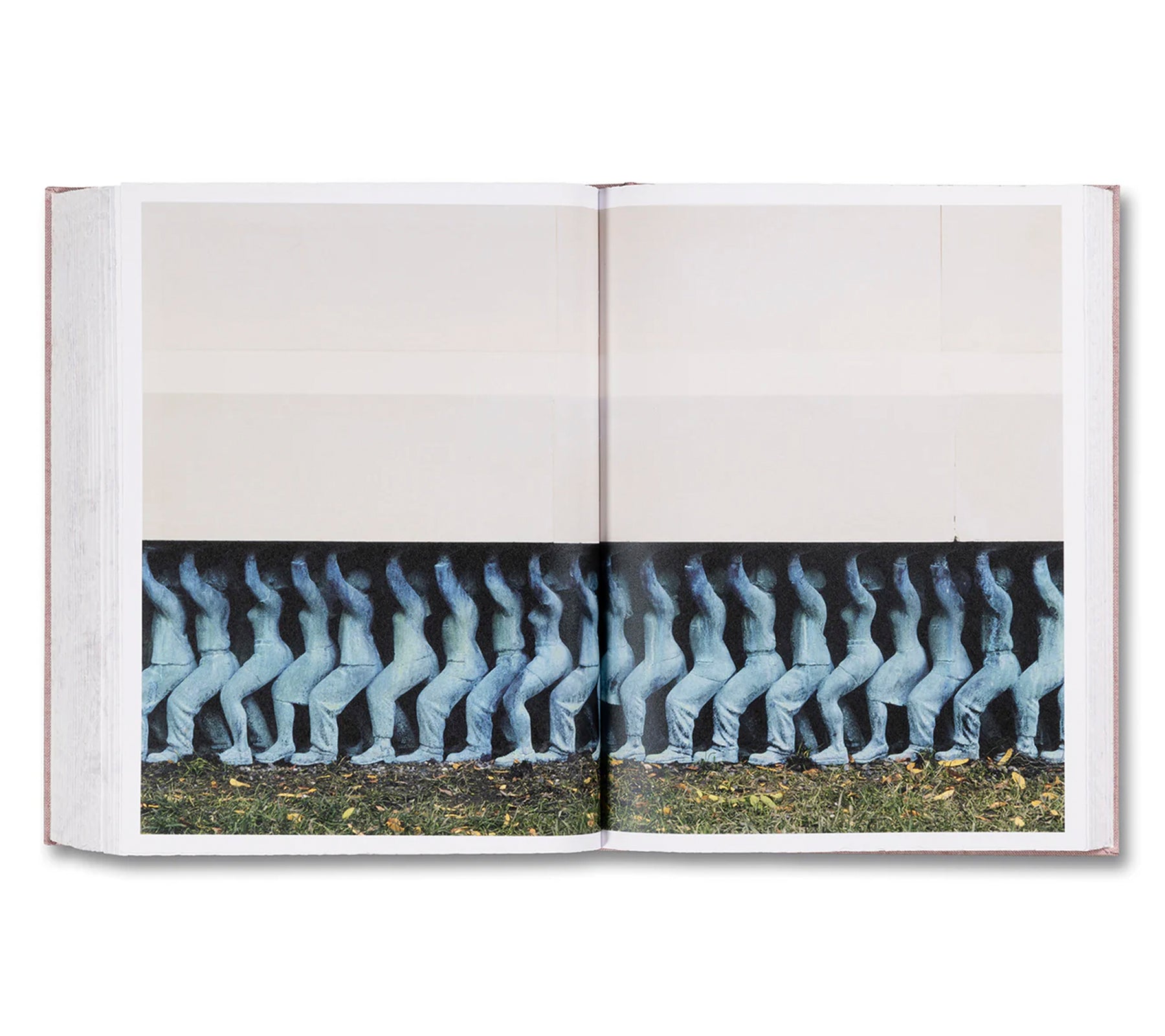 ANATOMY by Do Ho Suh [SIGNED]