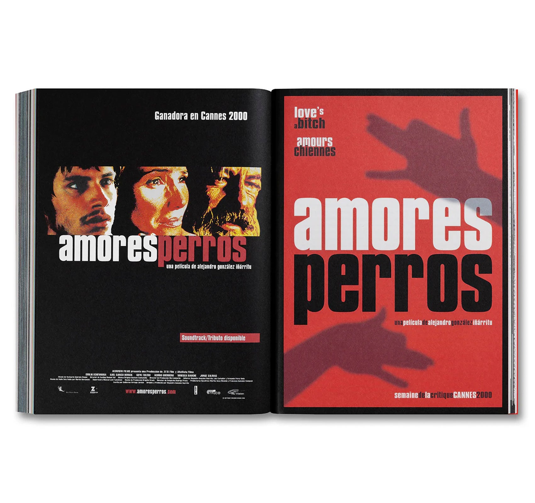 AMORES PERROS by Alejandro G. Iñárritu