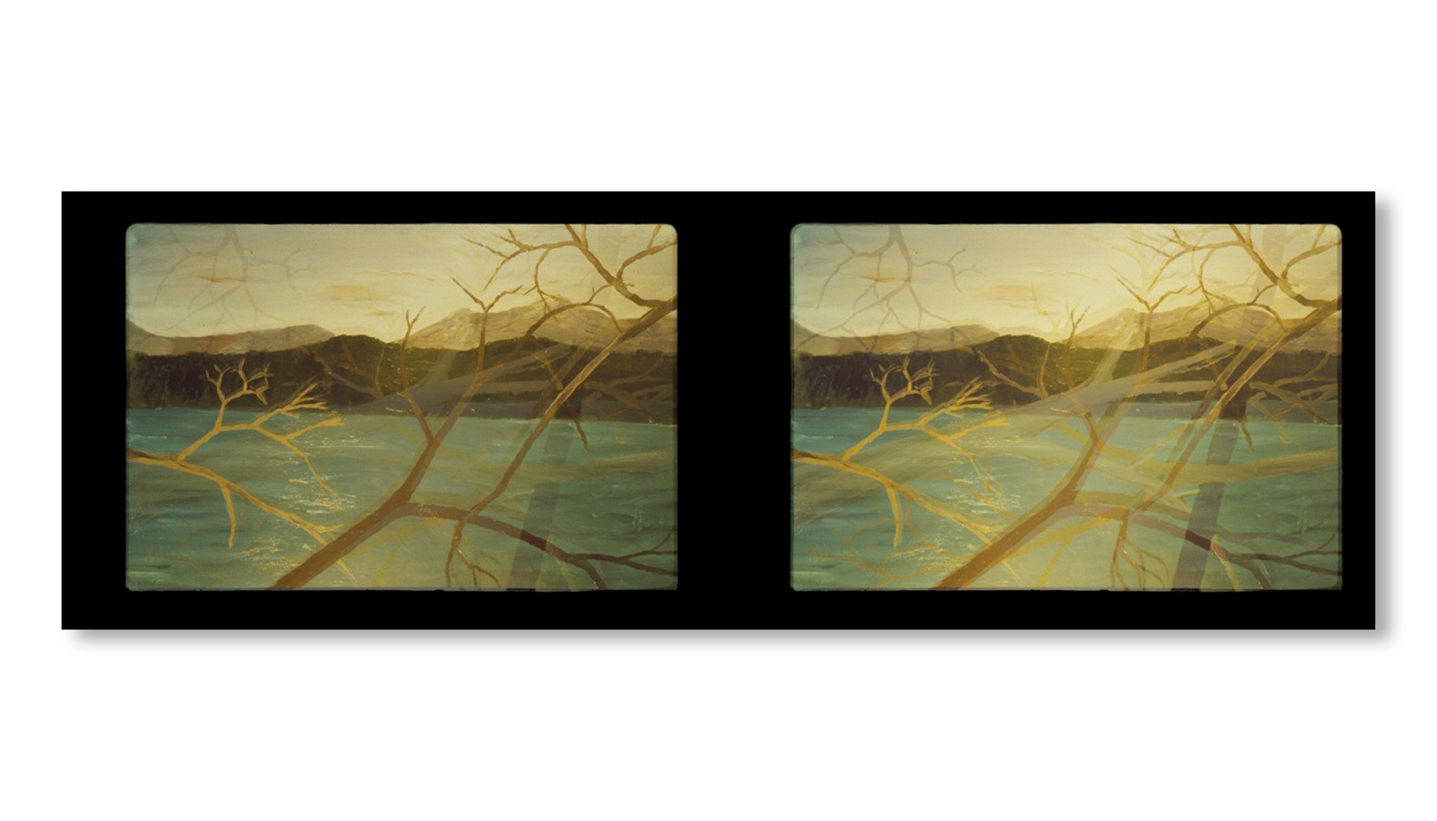 SLIDES OF A CHANGING PAINTING by Robert Gober