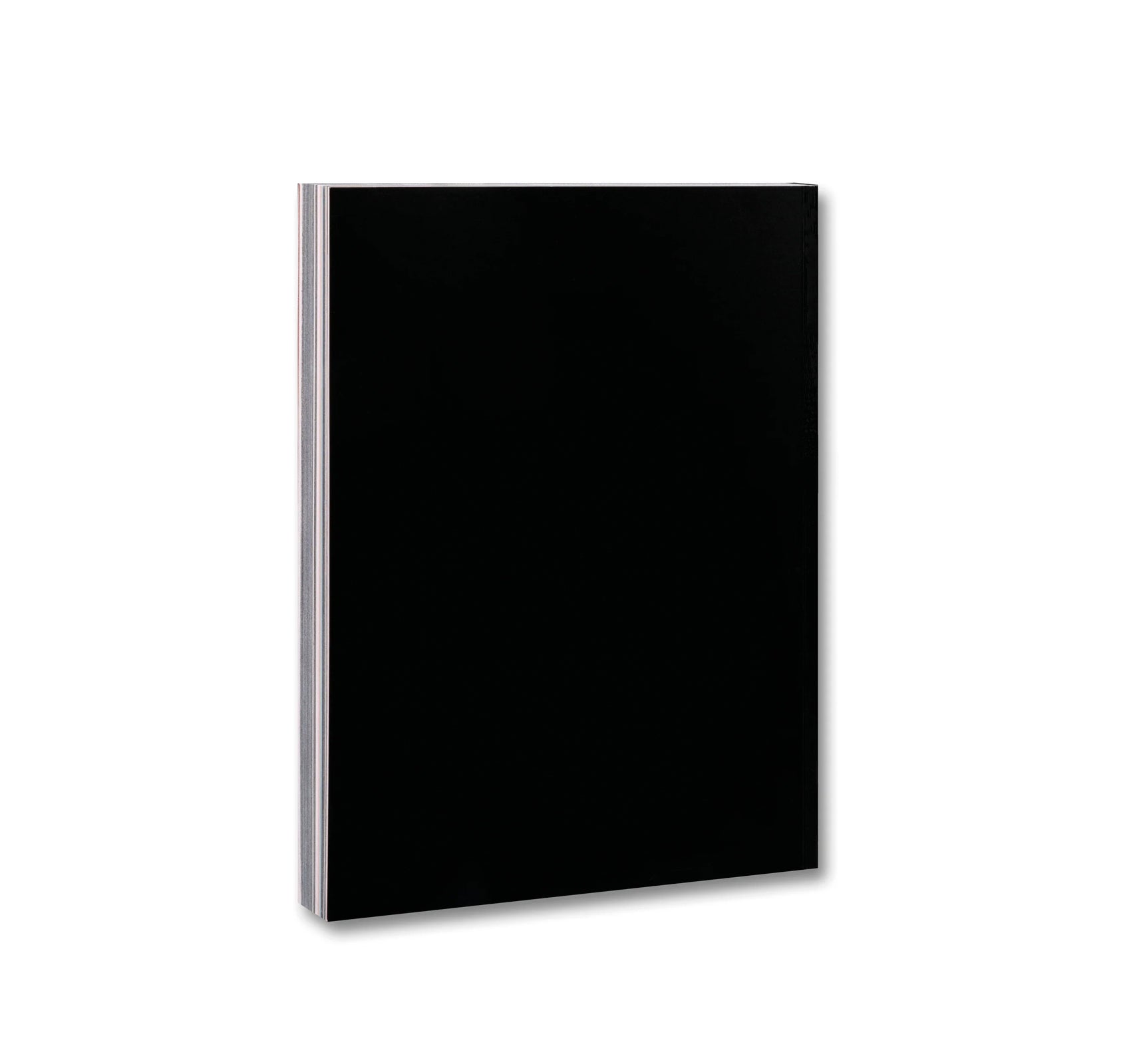 AMORES PERROS by Alejandro G. Iñárritu