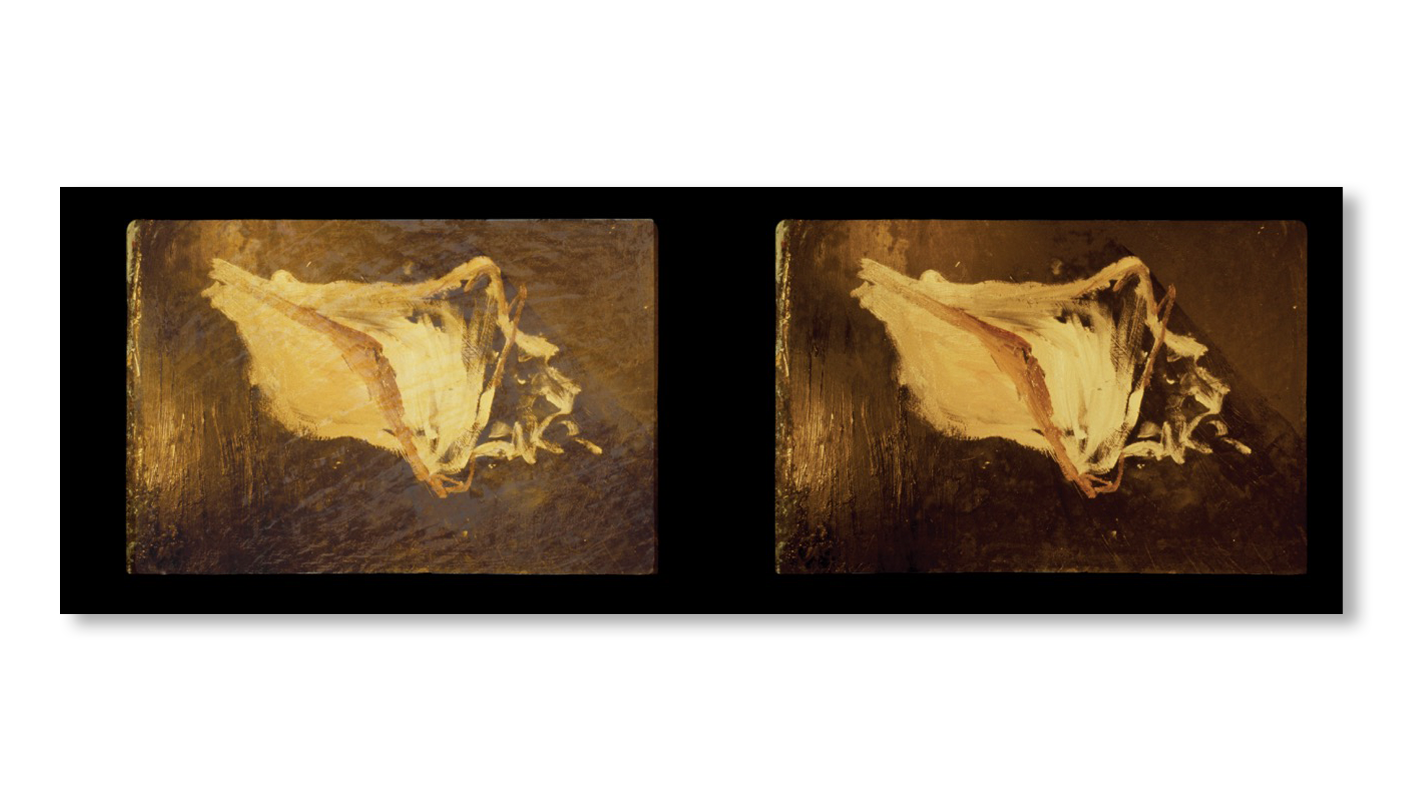 SLIDES OF A CHANGING PAINTING by Robert Gober