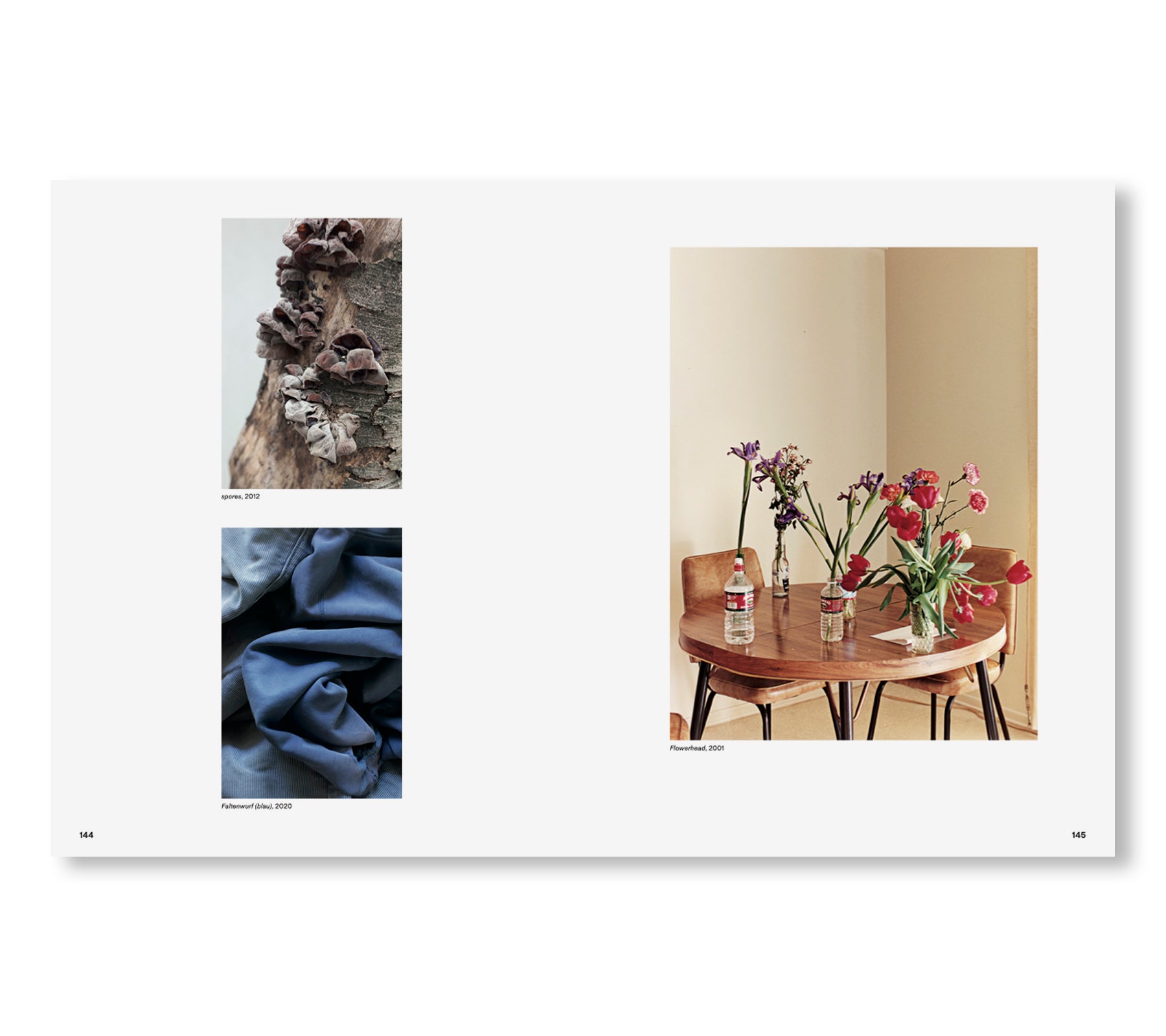 NOTHING COULD HAVE PREPARED US – EVERYTHING COULD HAVE PREPARED US by Wolfgang Tillmans