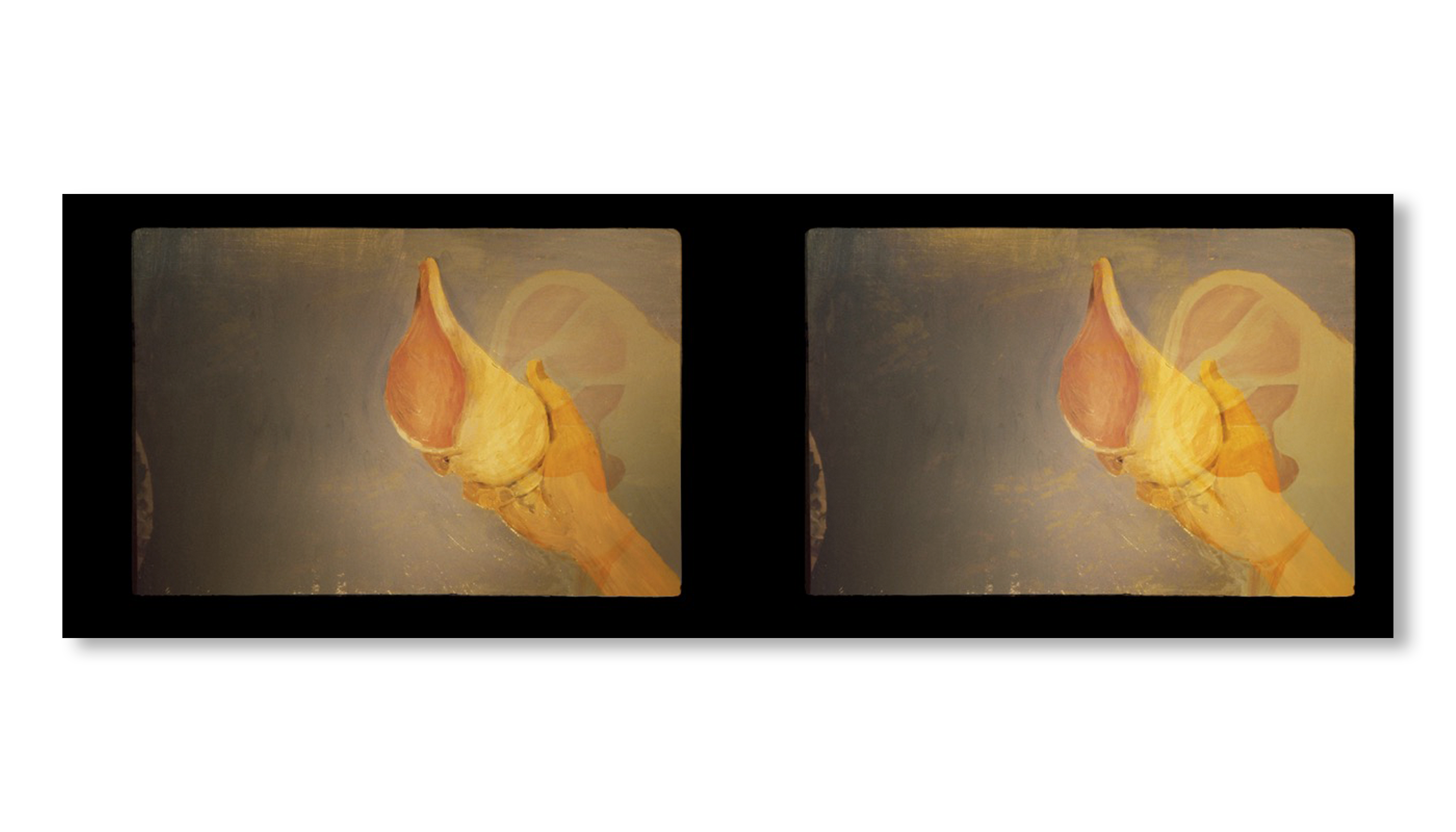 SLIDES OF A CHANGING PAINTING by Robert Gober