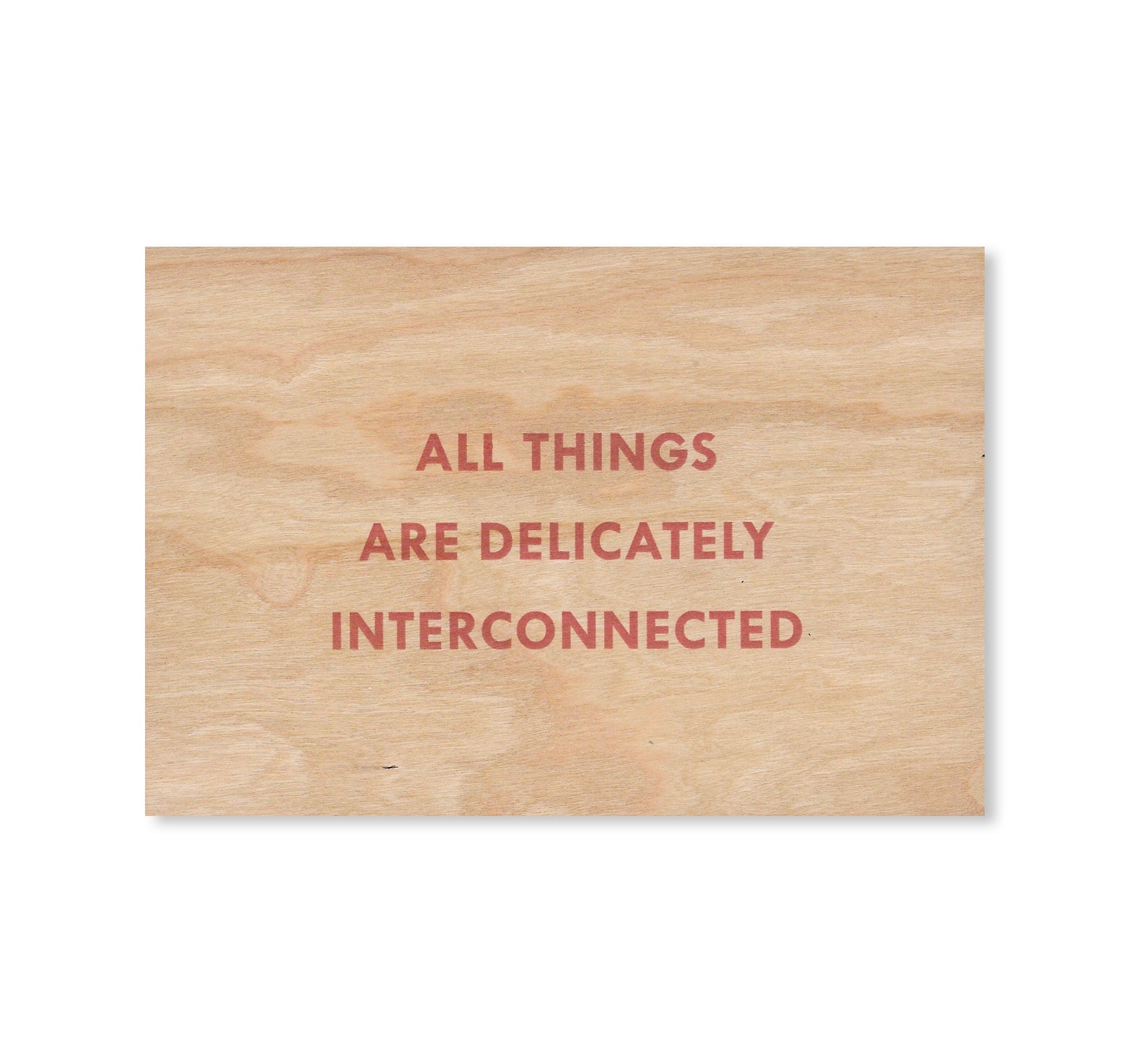 ALL THINGS ARE DELICATELY INTERCONNECTED WOODEN POSTCARD by Jenny Holzer [RED TEXT]