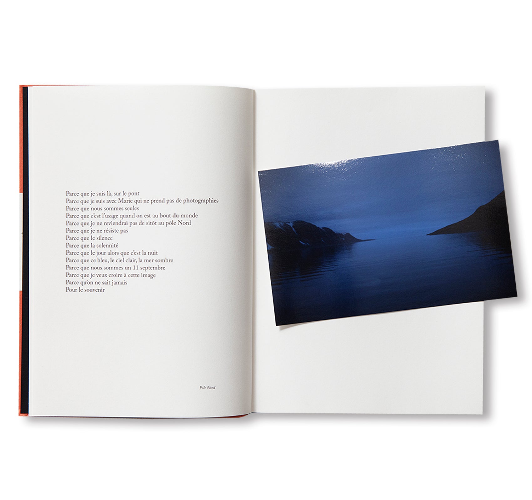 BECAUSE by Sophie Calle [ENGLISH / REVISED / EXPANDED EDITION]