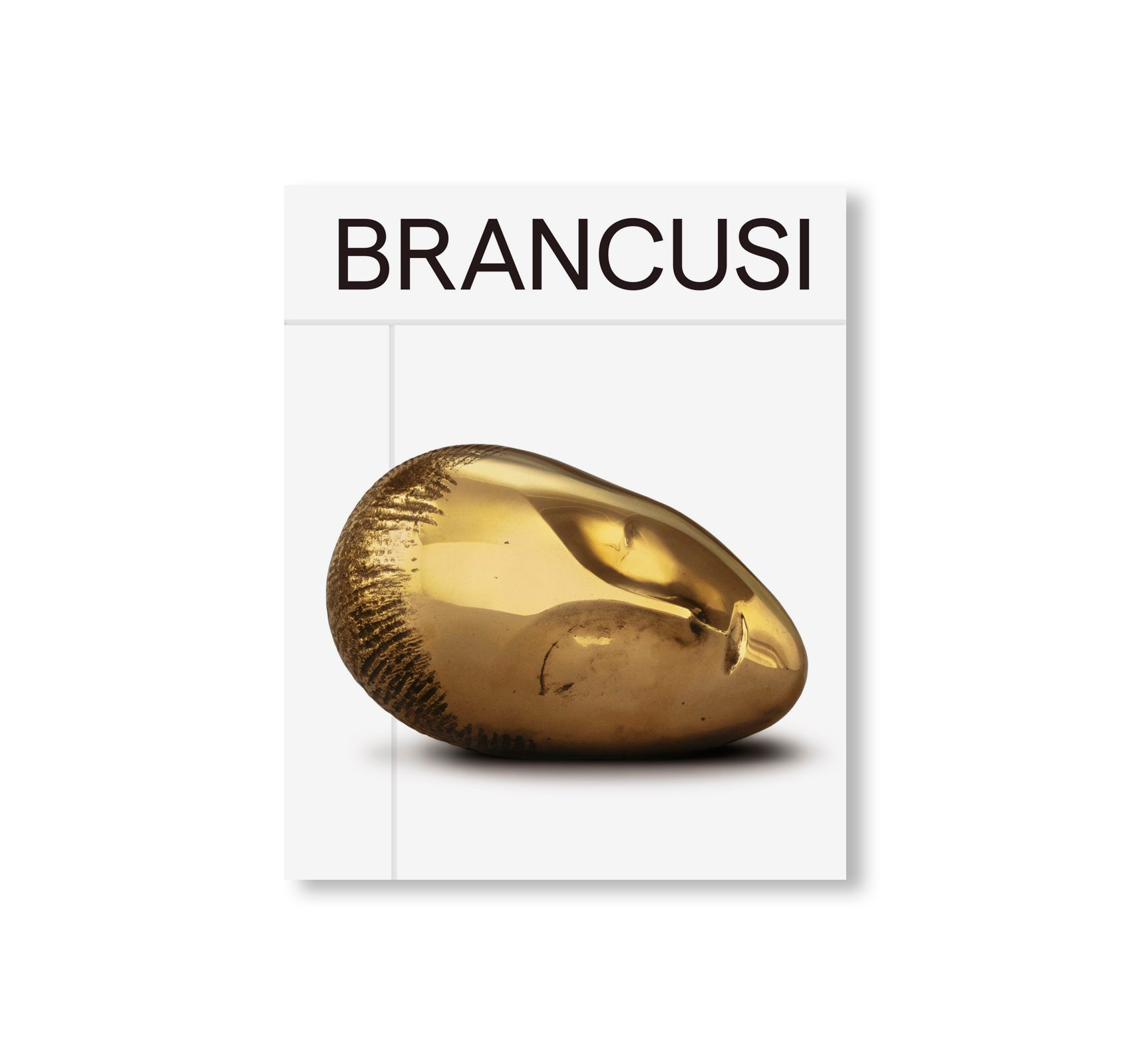 BRANCUSI photographer ブランクーシ写真集 BRANCUSI by Constantin Brancusi – twelvebooks