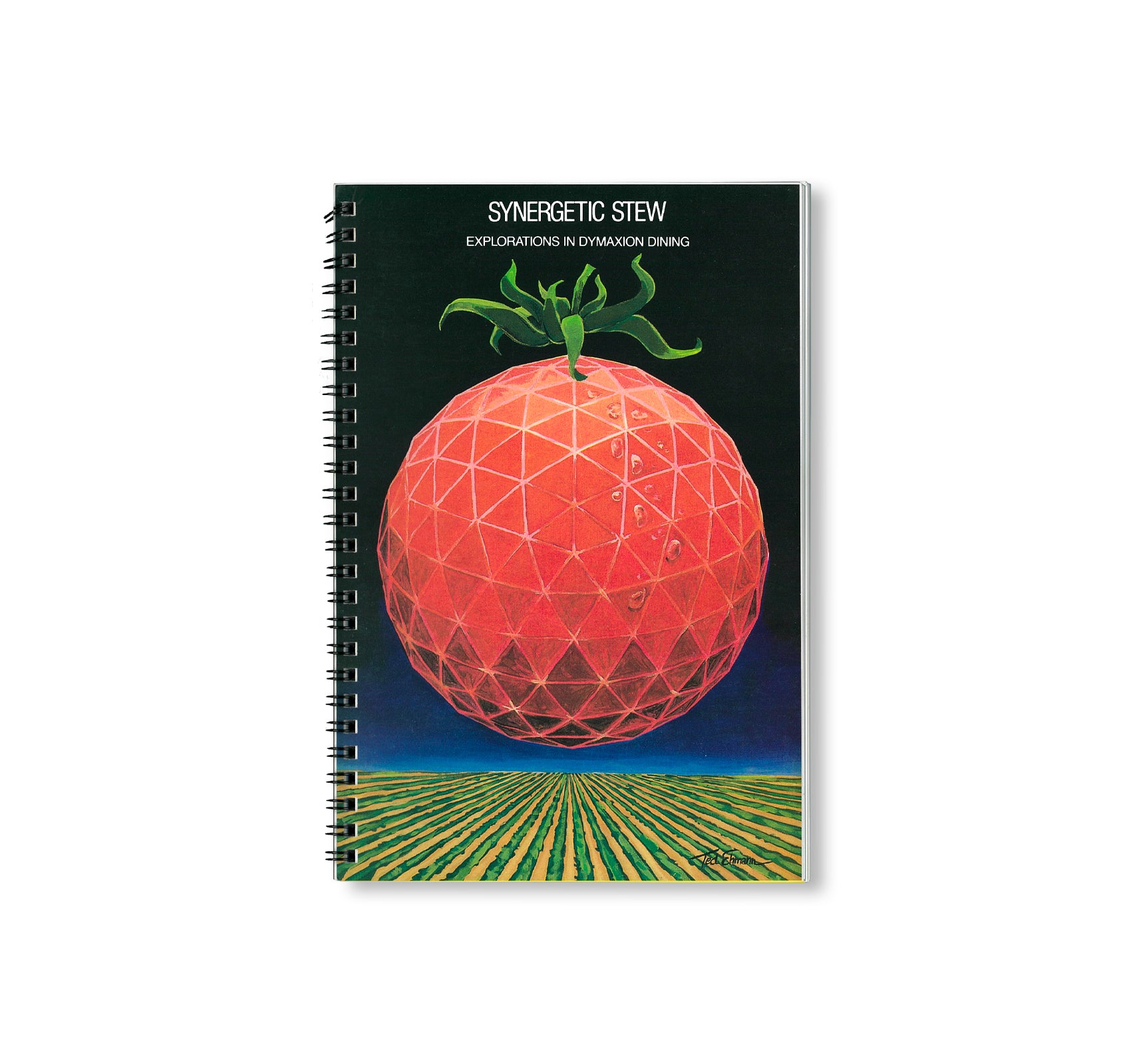 SYNERGETIC STEW: EXPLORATIONS IN DYMAXION DINING [FACSIMILE EDITION]