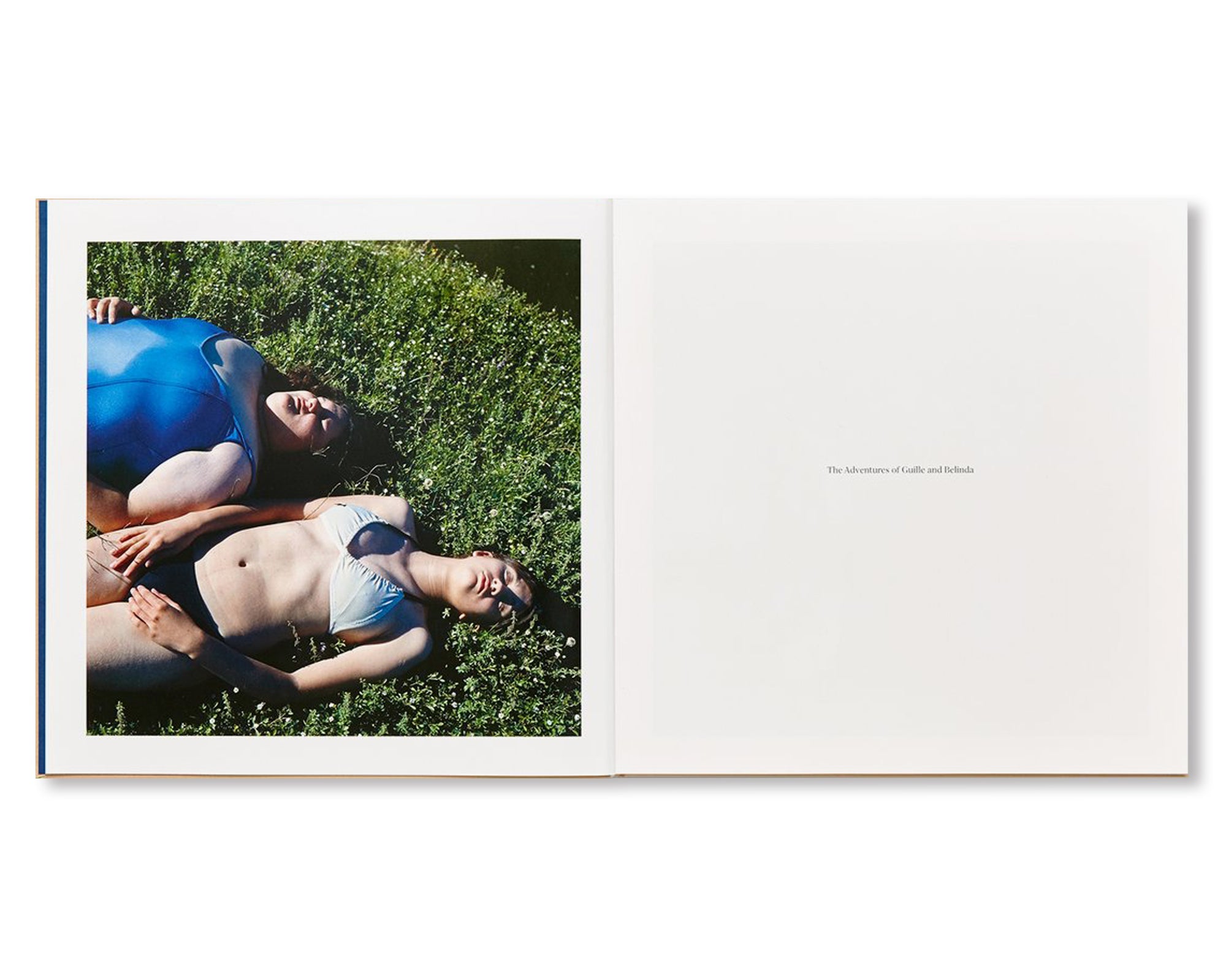 THE ADVENTURES OF GUILLE AND BELINDA AND THE ILLUSION OF AN EVERLASTING SUMMER by Alessandra Sanguinetti [DIRECT SIGNED]