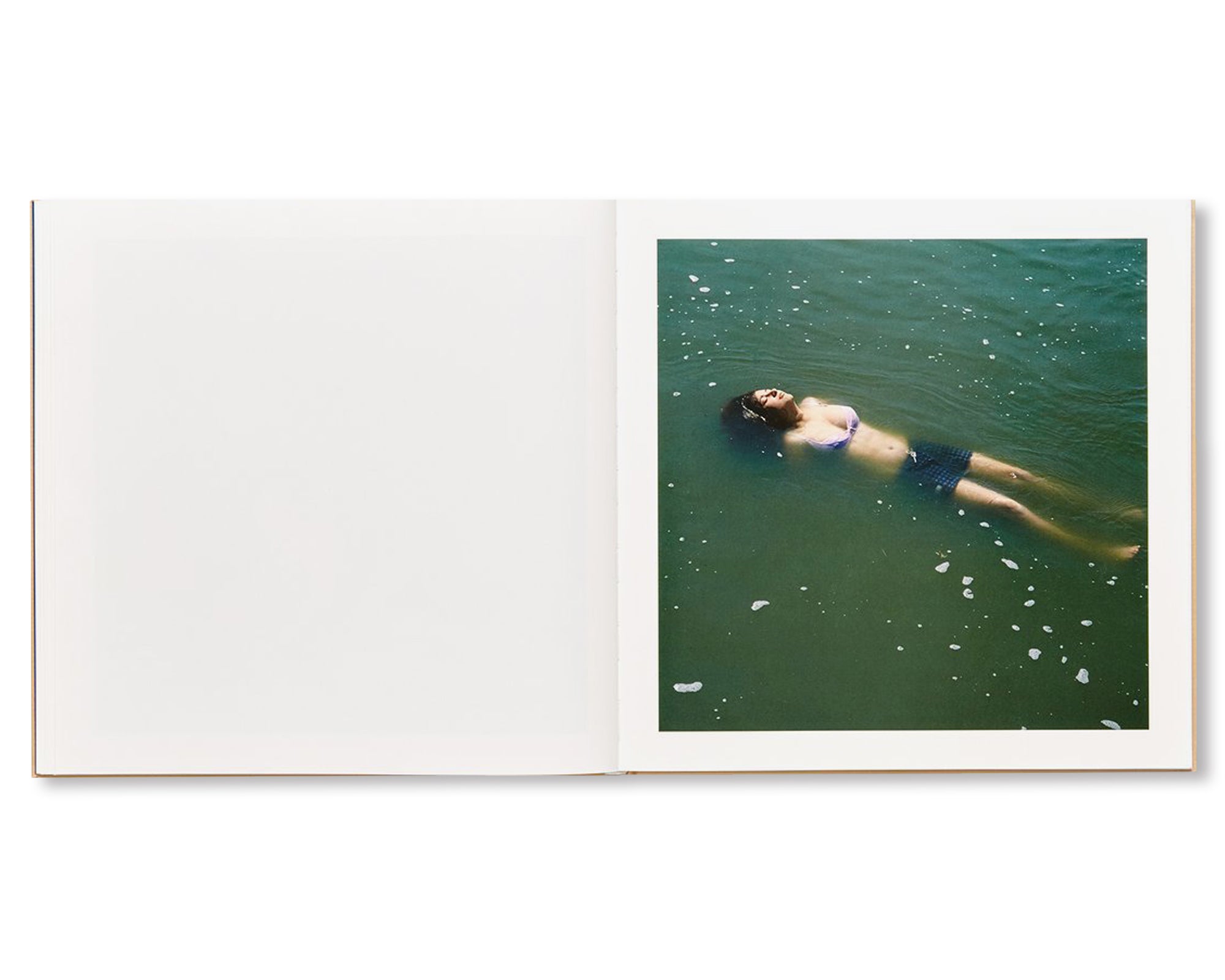 THE ADVENTURES OF GUILLE AND BELINDA AND THE ILLUSION OF AN EVERLASTING SUMMER by Alessandra Sanguinetti [DIRECT SIGNED]