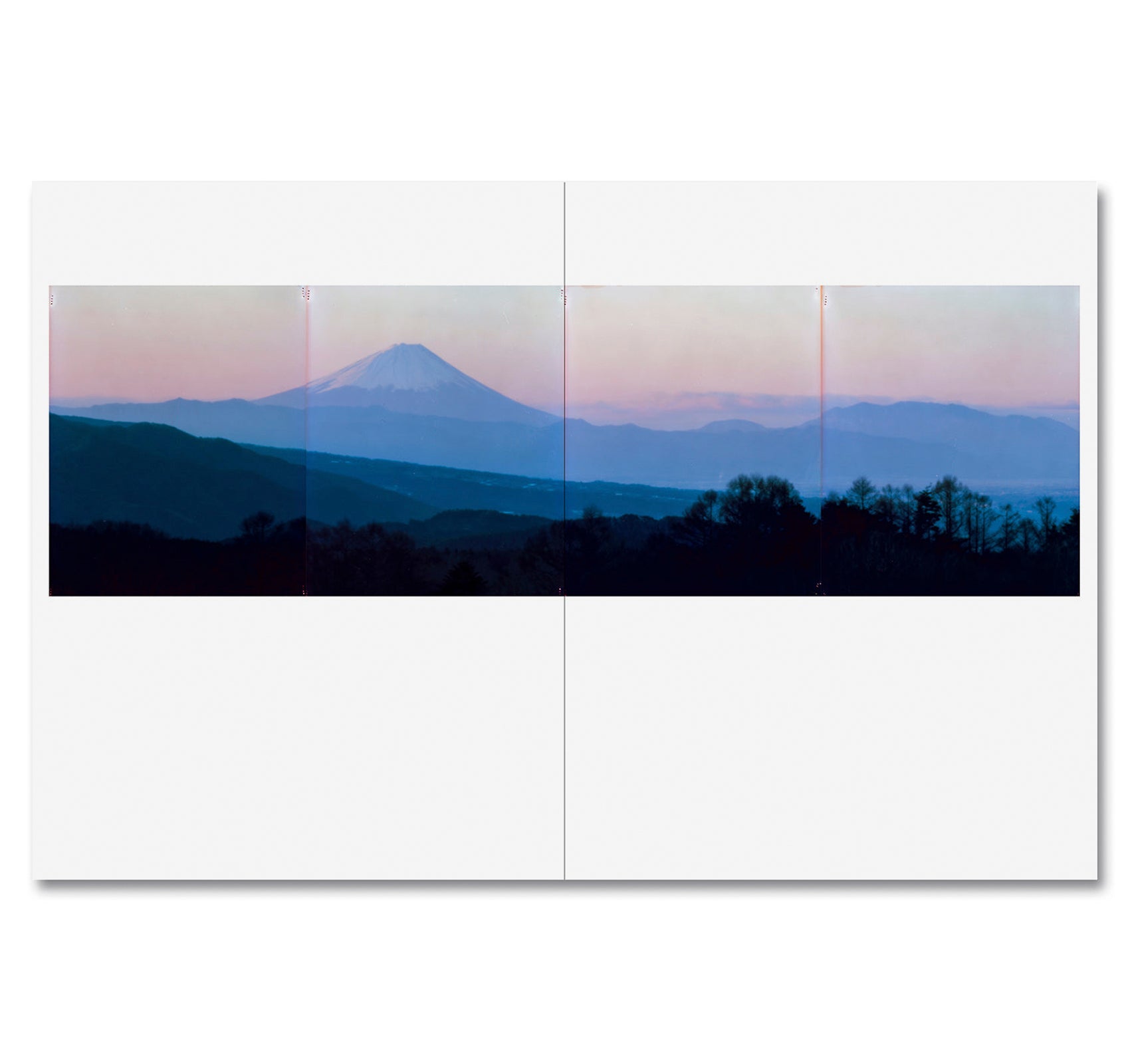 THIRTY-SIX VIEWS OF MOUNT FUJI by Takashi Homma