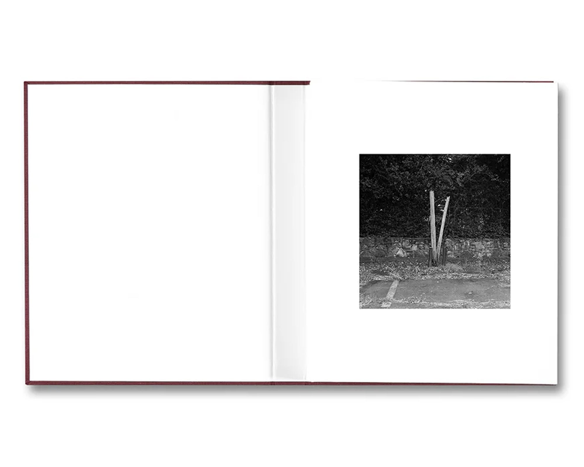 VISCIN by Yorgos Lanthimos