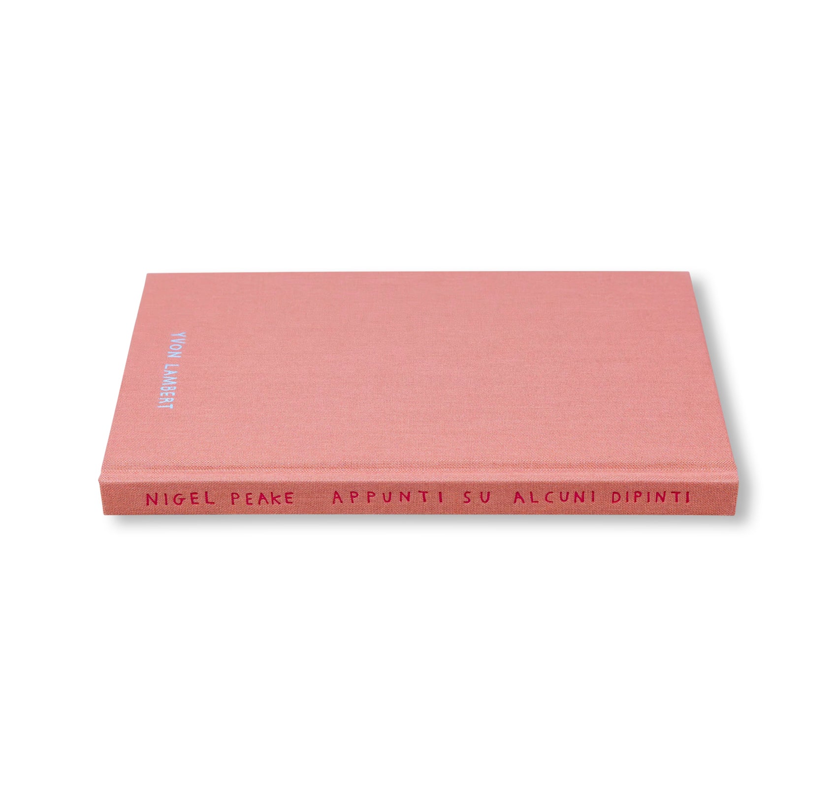 APPUNTI SU ALCUNI DIPINTI by Nigel Peake