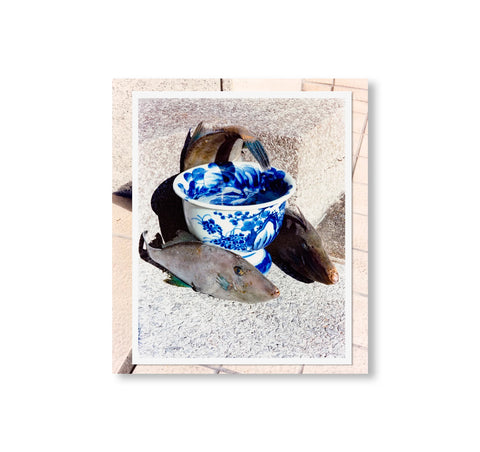 TOKYO FISHGRAPHS II by Naohiro Harada [SPECIAL EDITION]