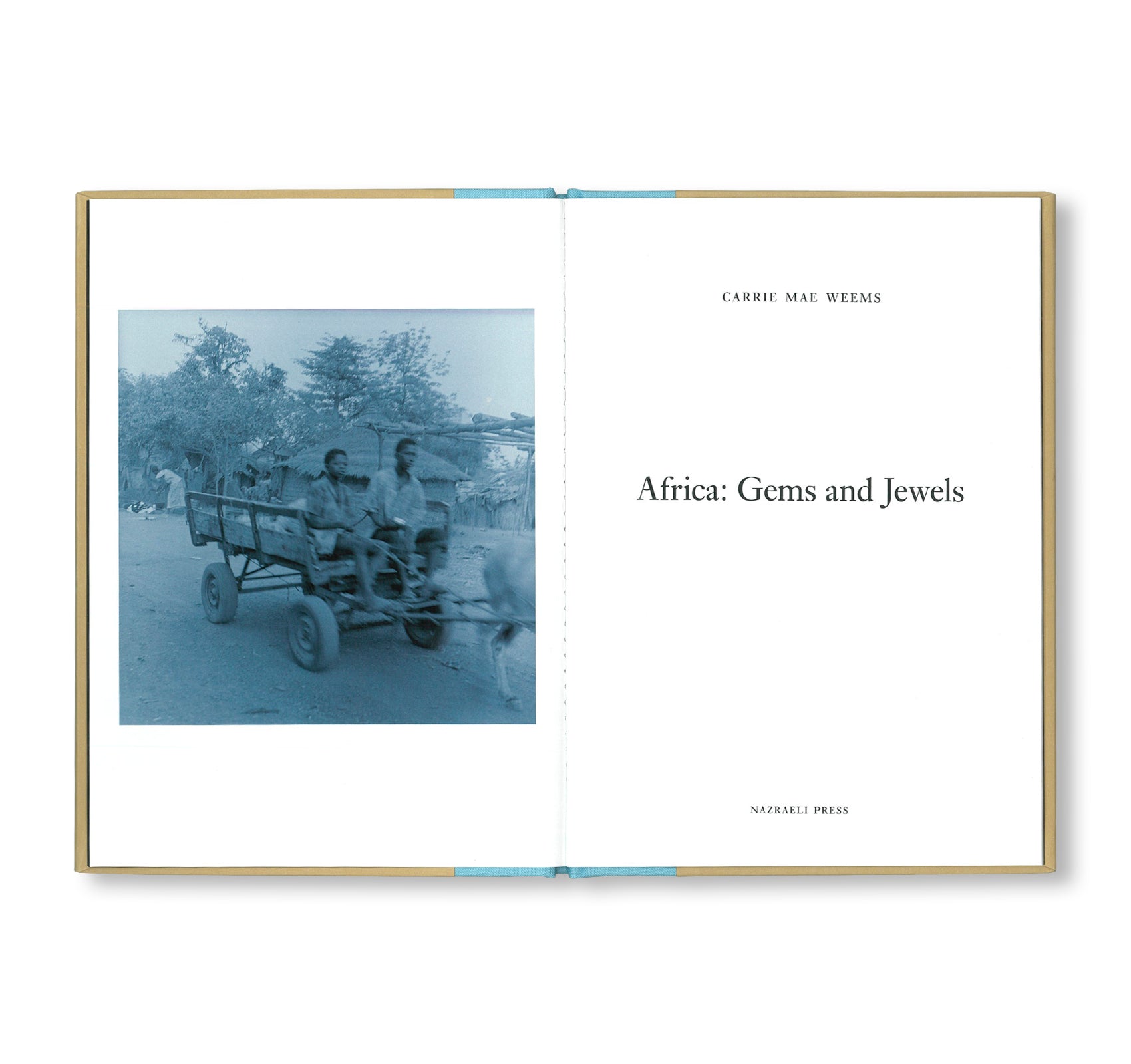 ONE PICTURE BOOK TWO #21: AFRICA: GEMS AND JEWELS by Carrie Mae Weems