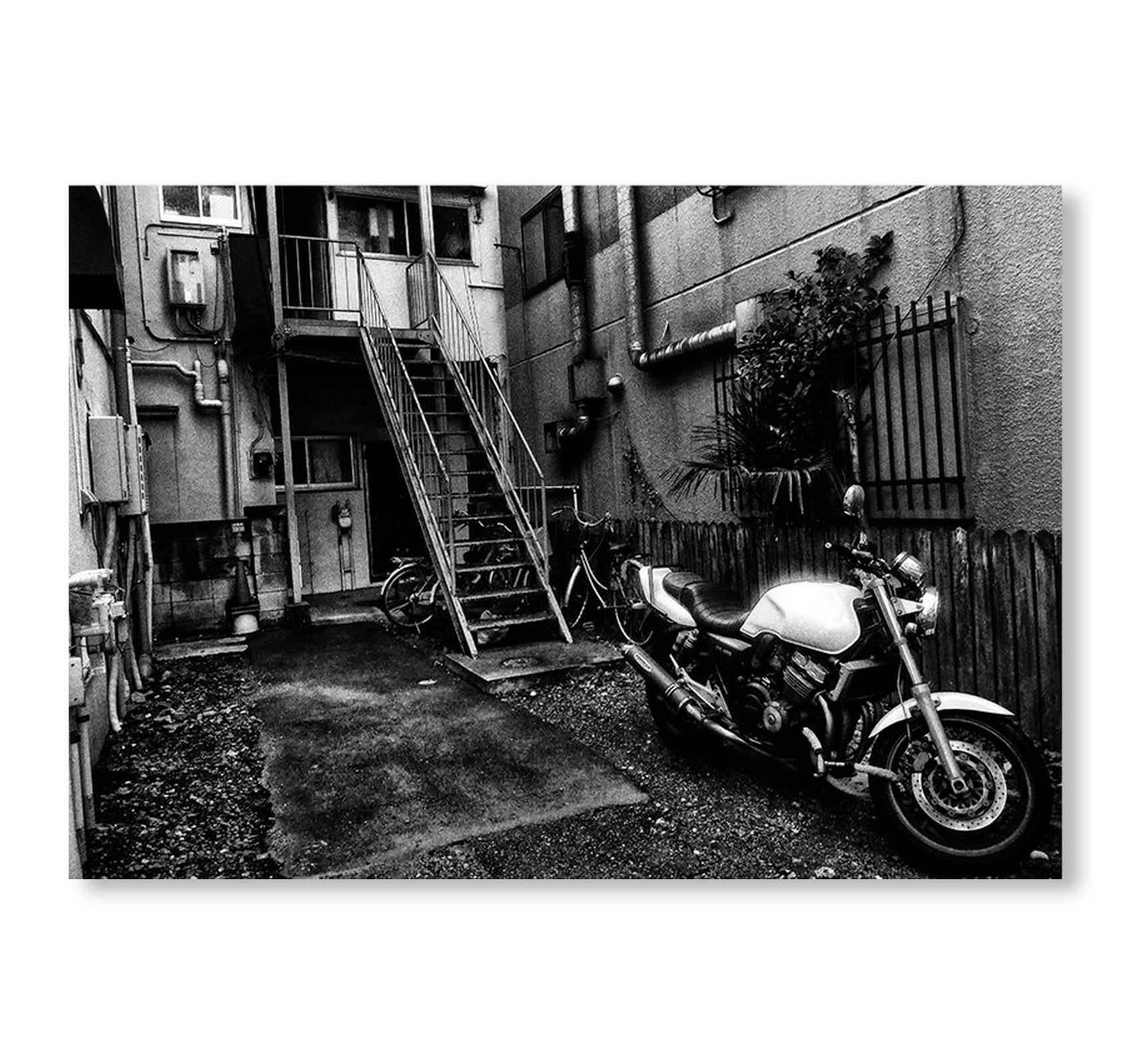 ONE PICTURE BOOK TWO #10: DAIDO MOTO by Daido Moriyama