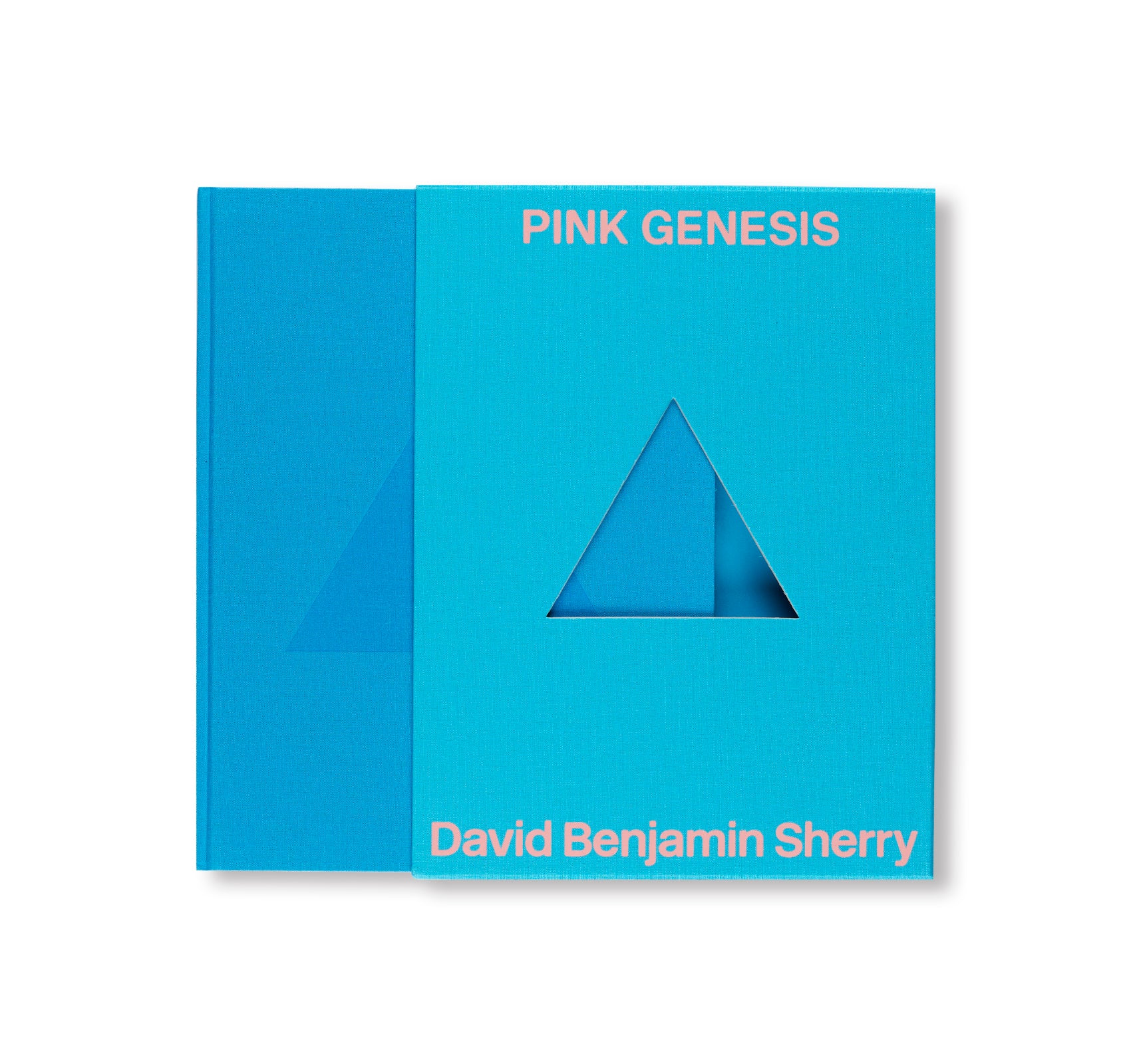 PINK GENESIS by David Benjamin Sherry