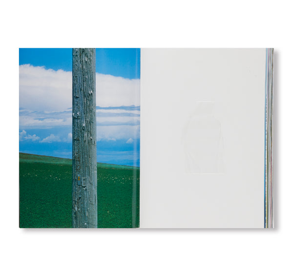 PATHÊMES by Marcelo Gomes – twelvebooks