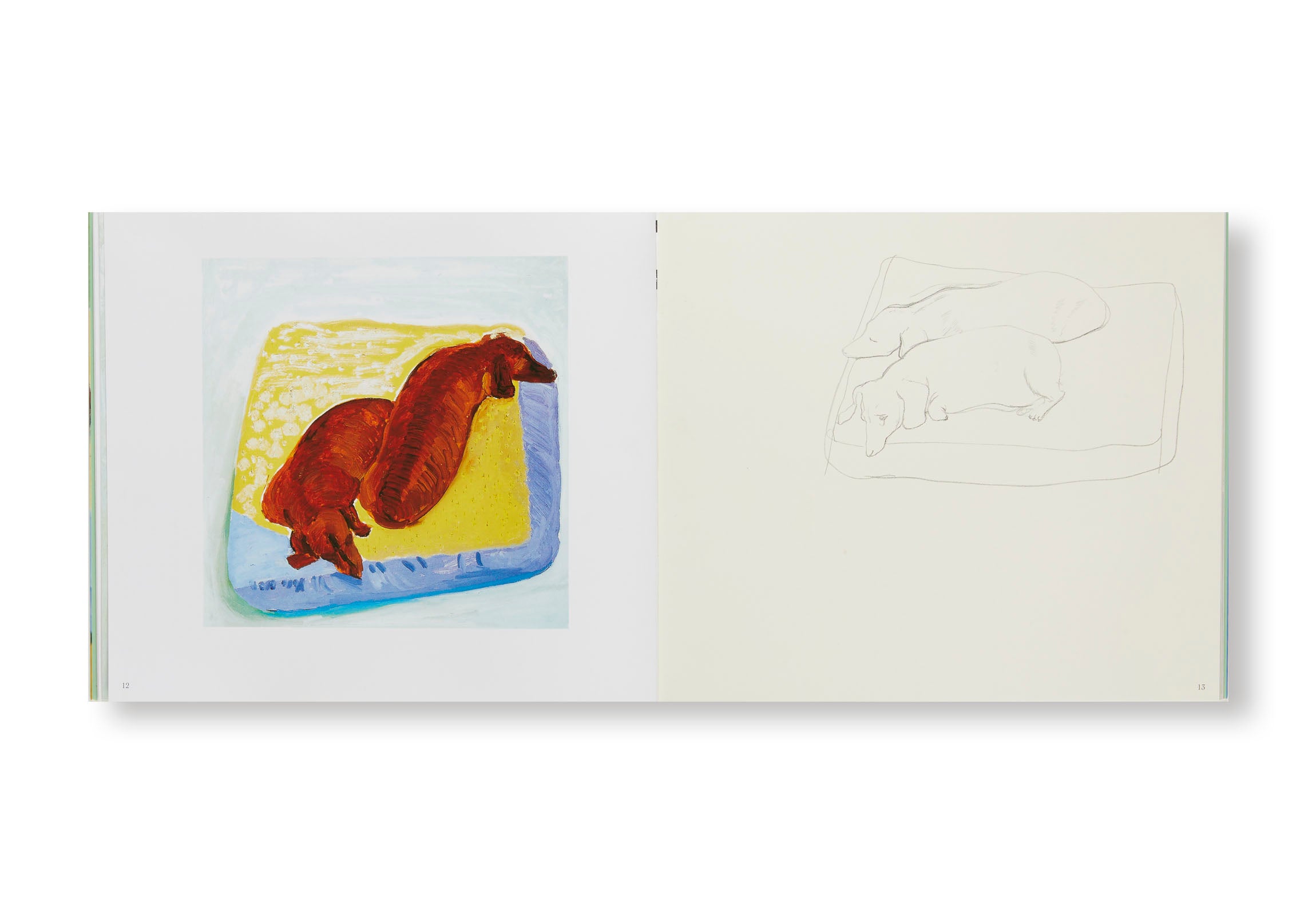 DAVID HOCKNEY'S DOG DAYS by David Hockney