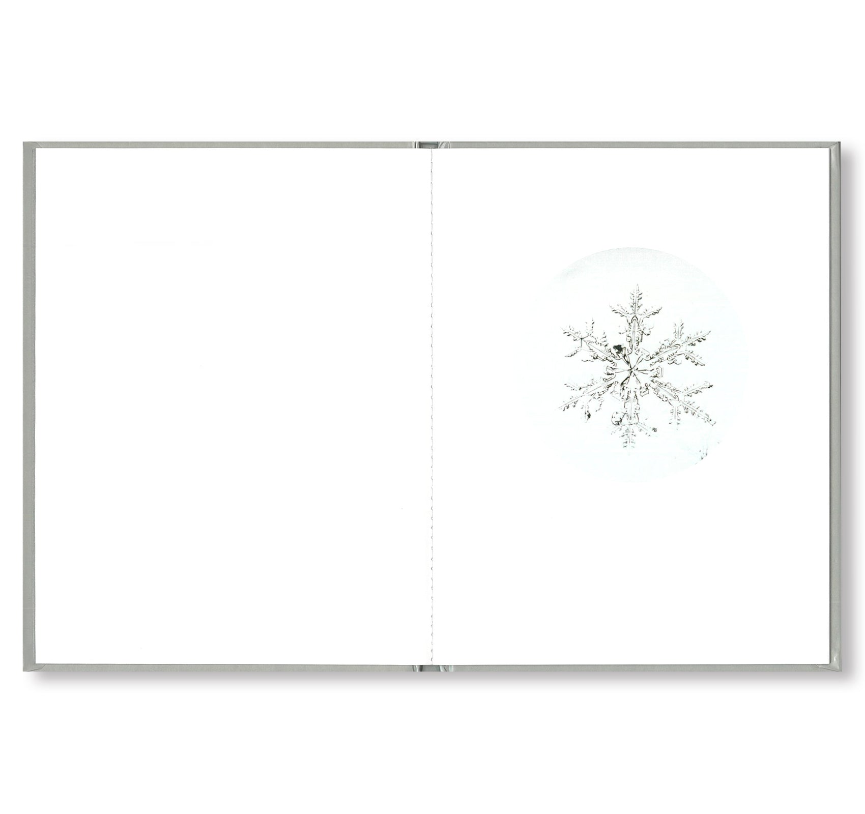 ONE PICTURE BOOK #80: SNOW LETTER by Risaku Suzuki