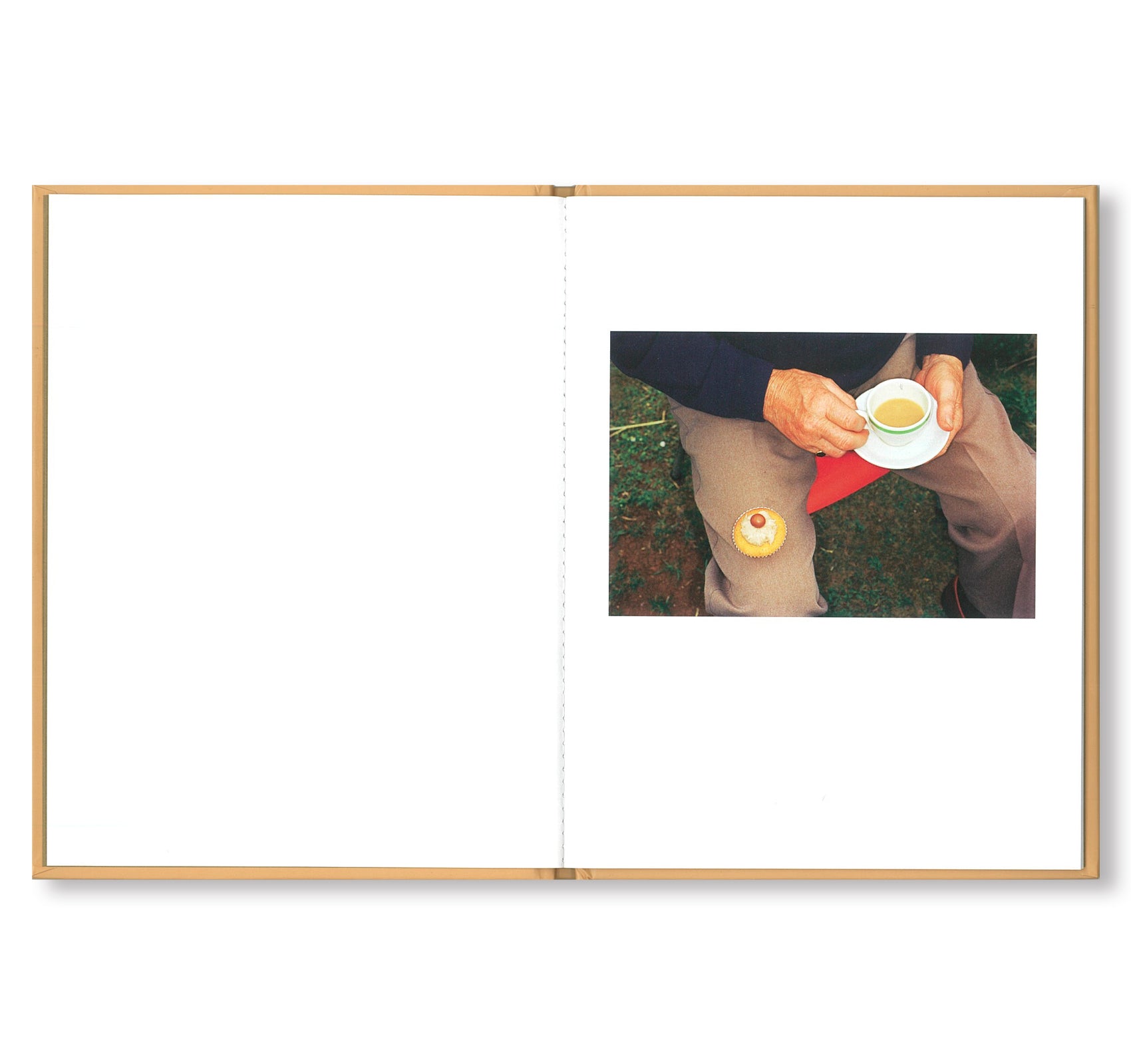 ONE PICTURE BOOK #74: 7 CUPS OF TEA by Martin Parr