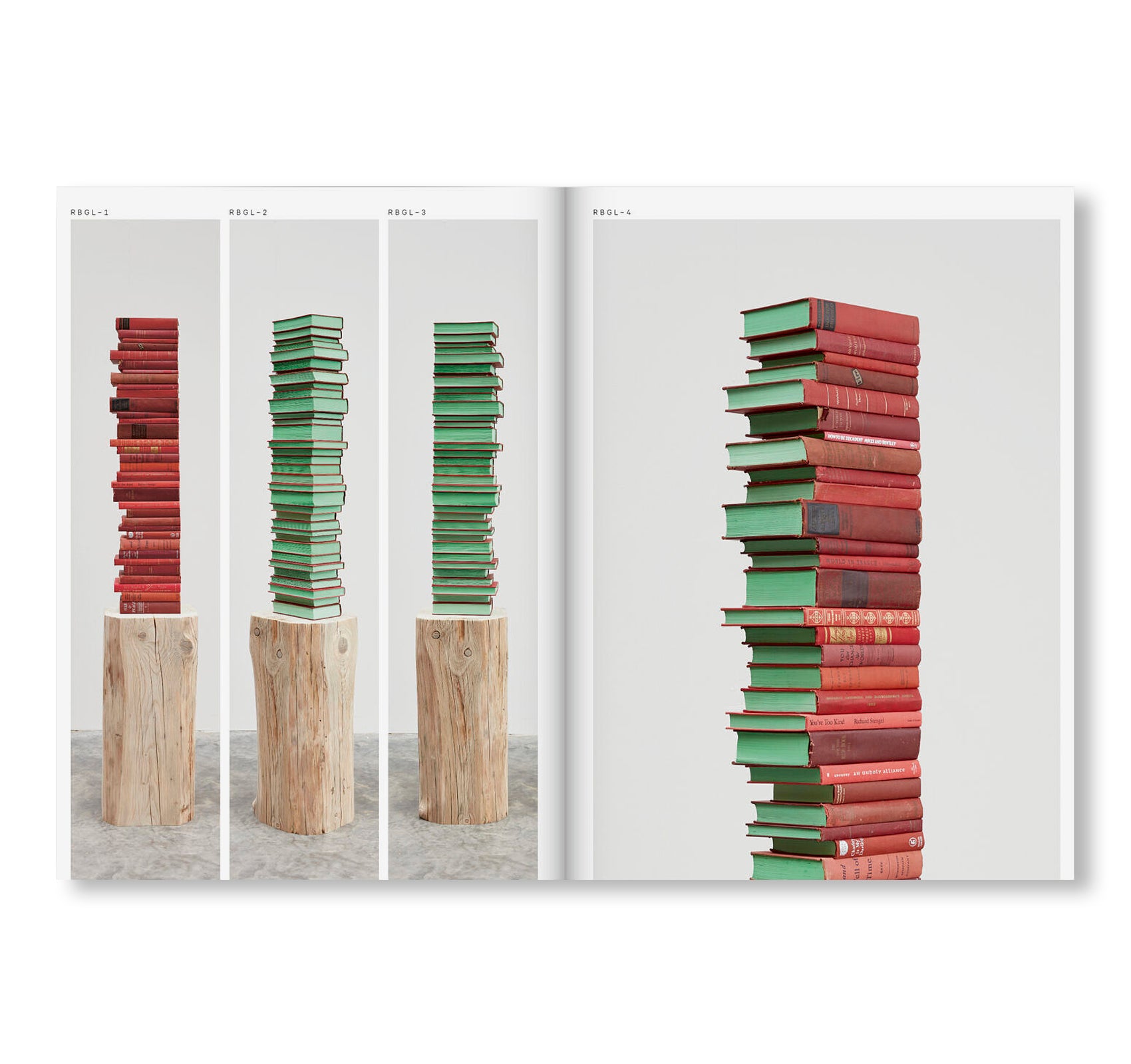 BOOK OF STACKS, STACKS OF BOOKS by Jared Bark