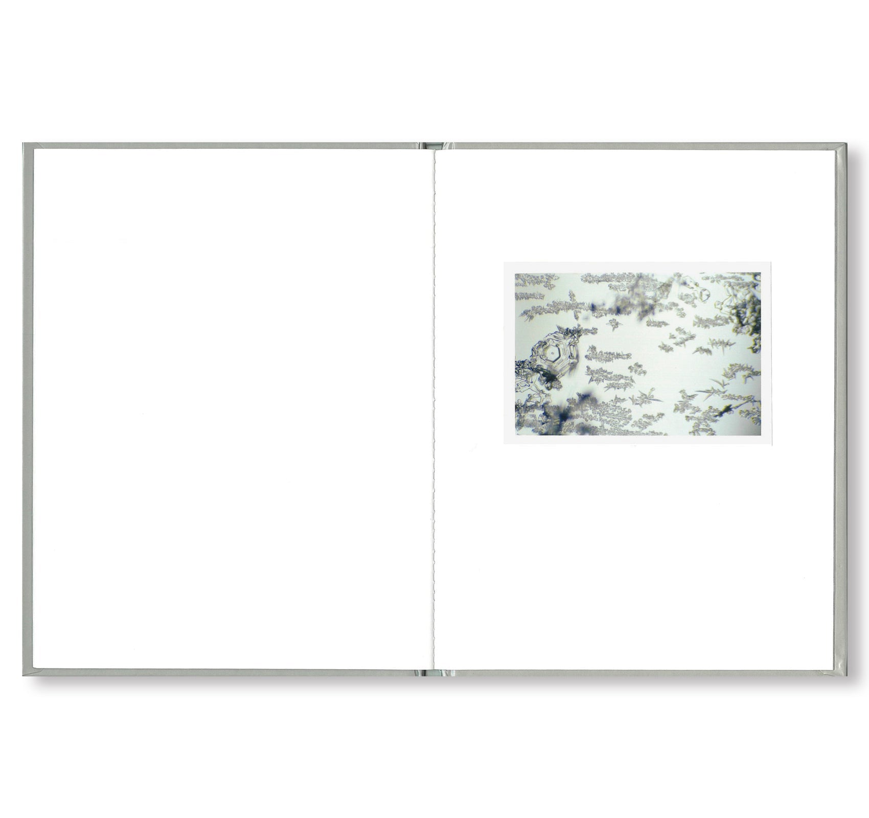 ONE PICTURE BOOK #80: SNOW LETTER by Risaku Suzuki