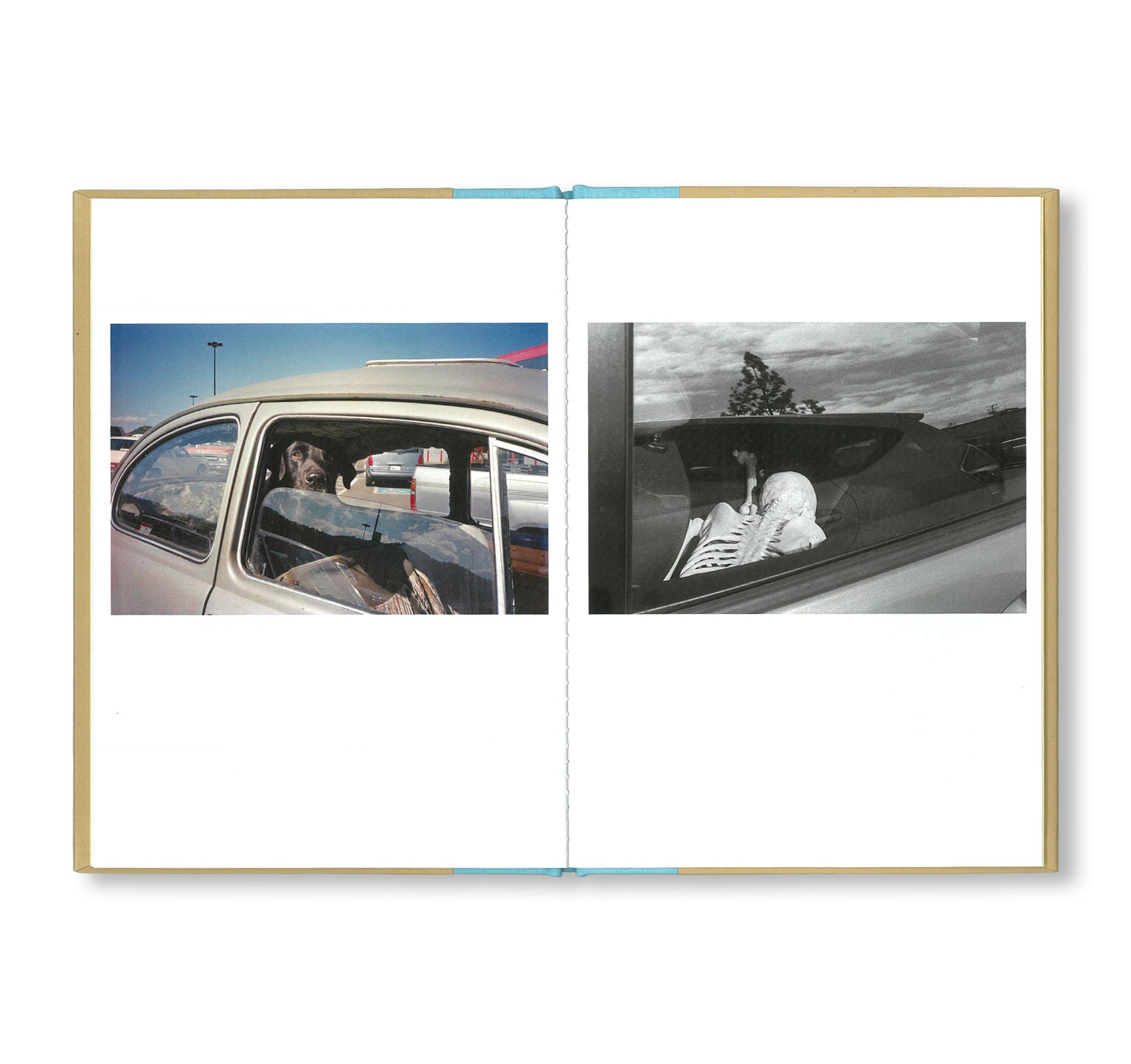 ONE PICTURE BOOK TWO #22: AUTO-HYPNOSIS by Ed Templeton