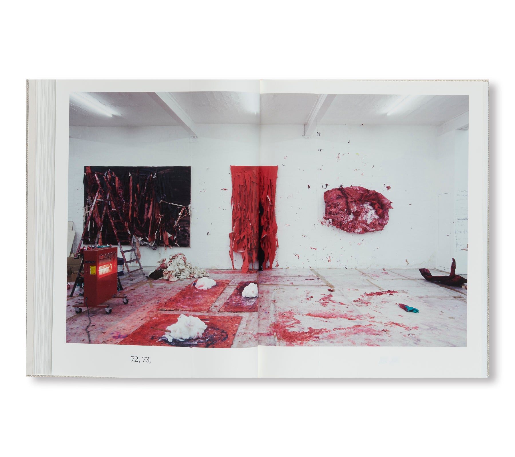 PAINTING by Anish Kapoor