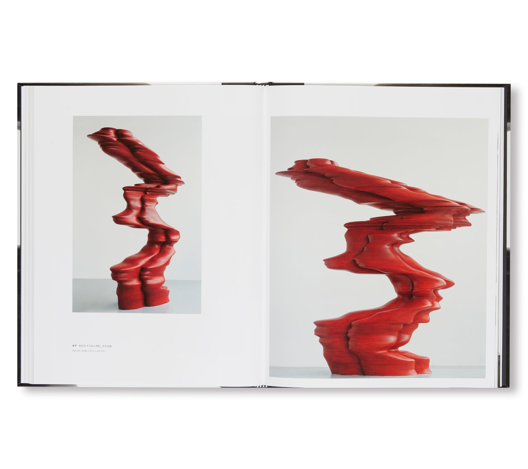 SCULPTURES AND DRAWINGS by Tony Cragg