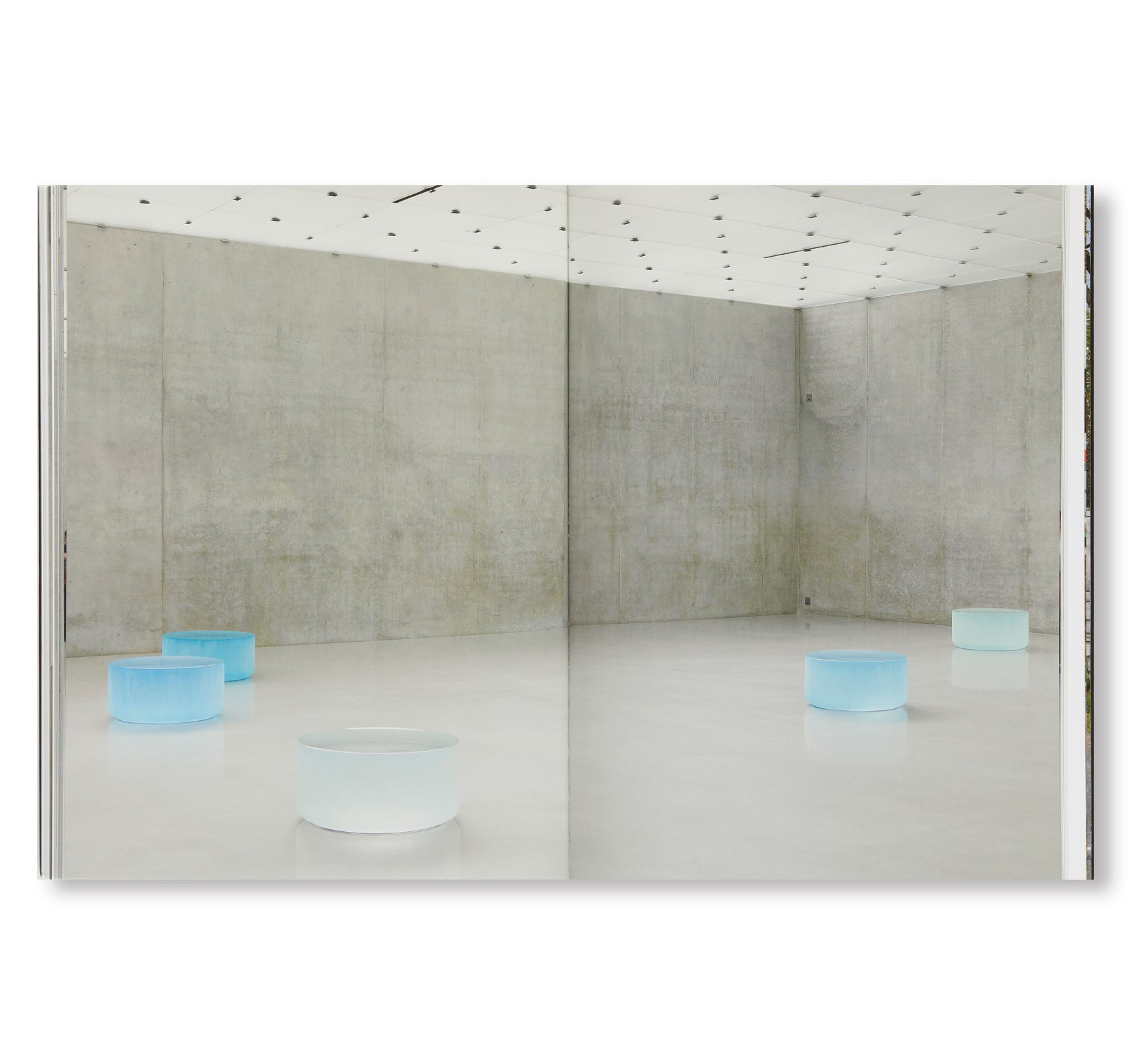 WELL & TRULY by Roni Horn