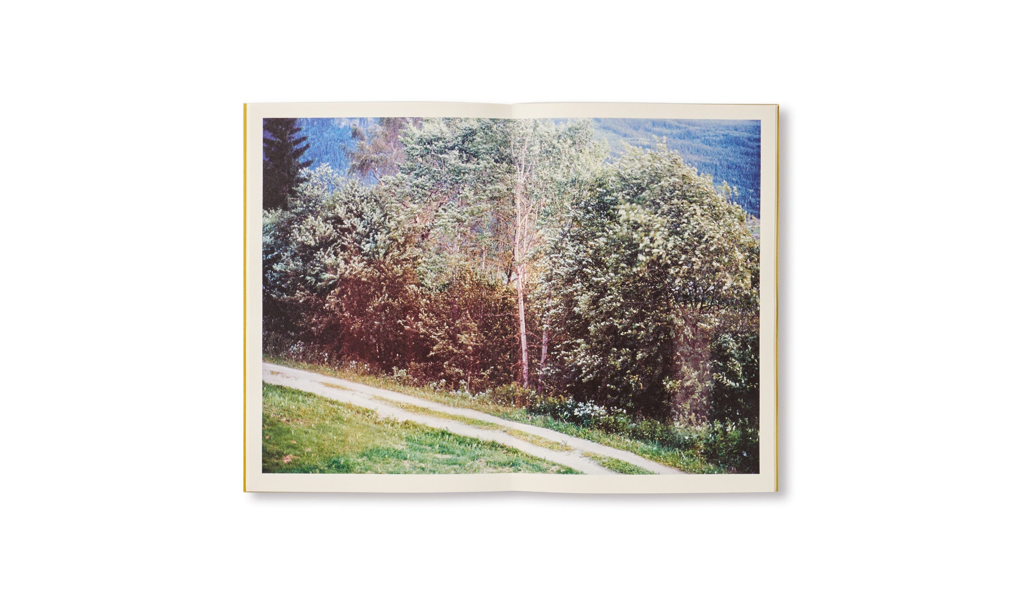 DISTANCE (PICTURES FOR AN UNTOLD STORY) by Ola Rindal [SIGNED]