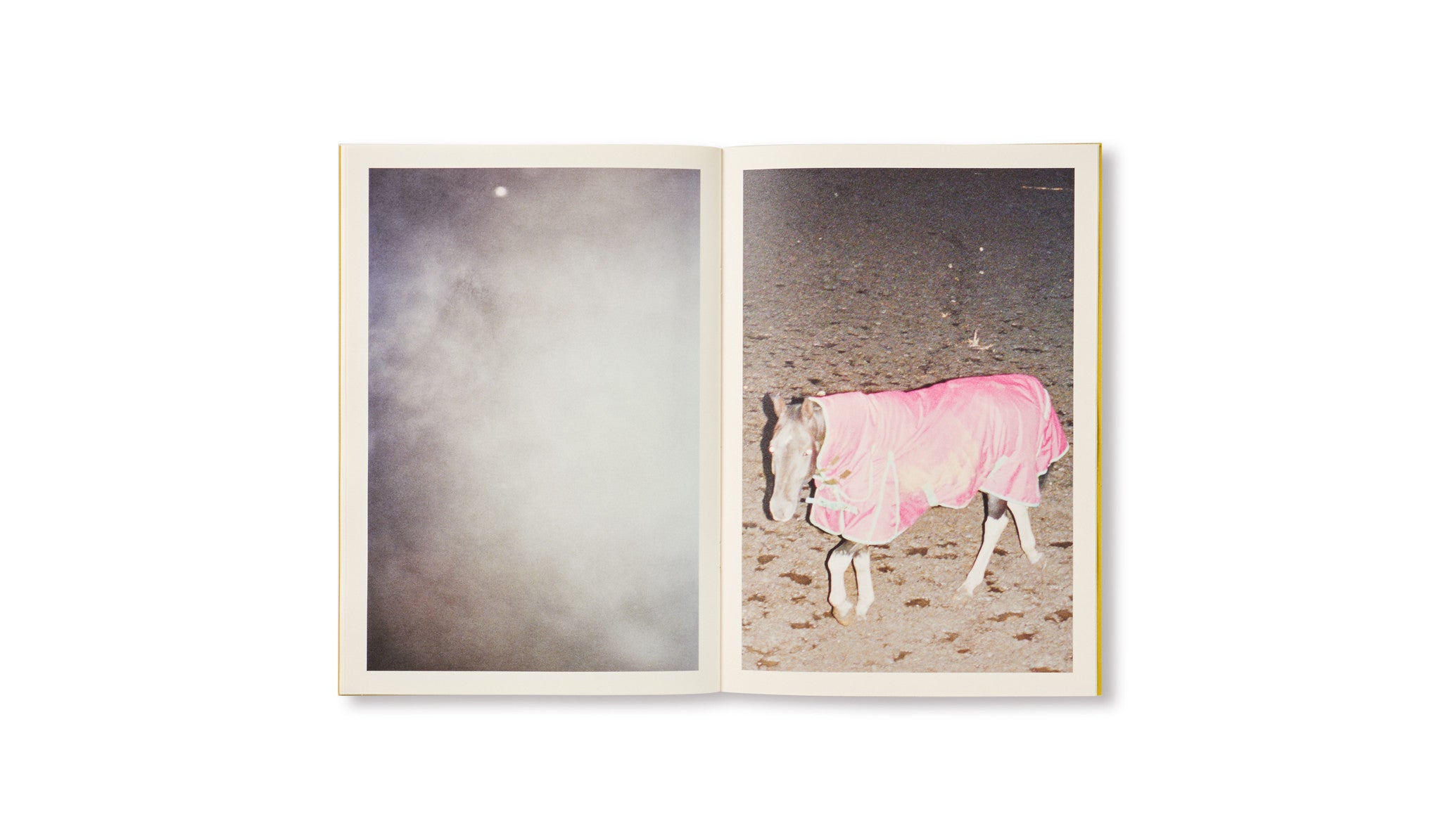DISTANCE (PICTURES FOR AN UNTOLD STORY) by Ola Rindal [SIGNED]