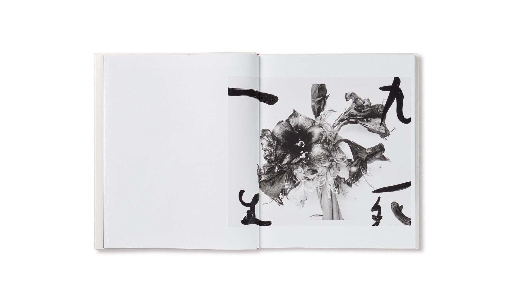 MARVELOUS TALES OF BLACK INK by Nobuyoshi Araki
