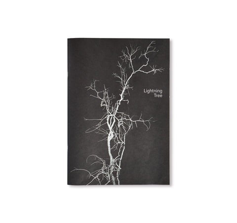 LIGHTNING TREE by Taiyo Onorato & Nico Krebs