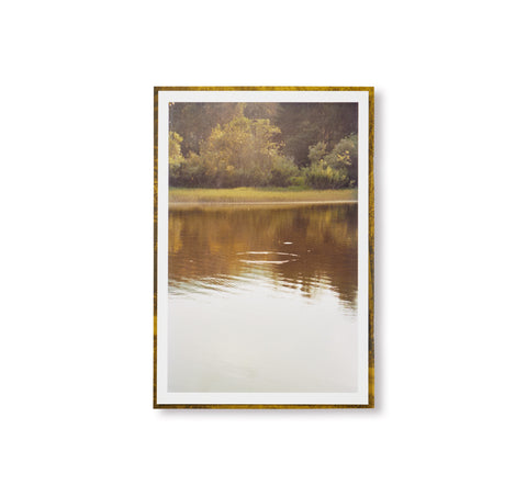 DISTANCE (PICTURES FOR AN UNTOLD STORY) by Ola Rindal [SPECIAL EDITION - B]
