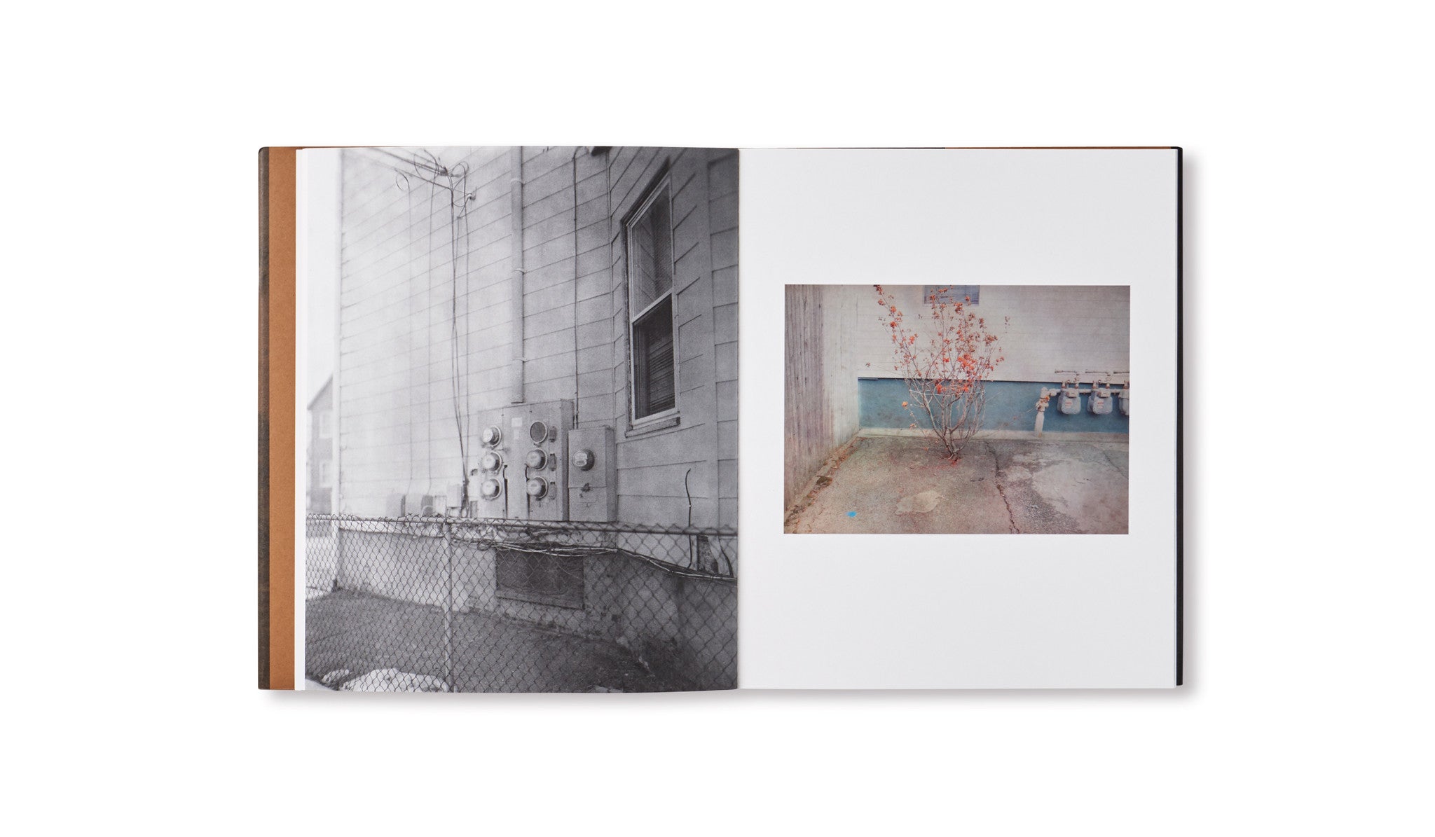 SUBSCRIPTION SERIES #4 by Christian Patterson, Alessandra Sanguinetti, Raymond Meeks and Wolfgang Tillmans