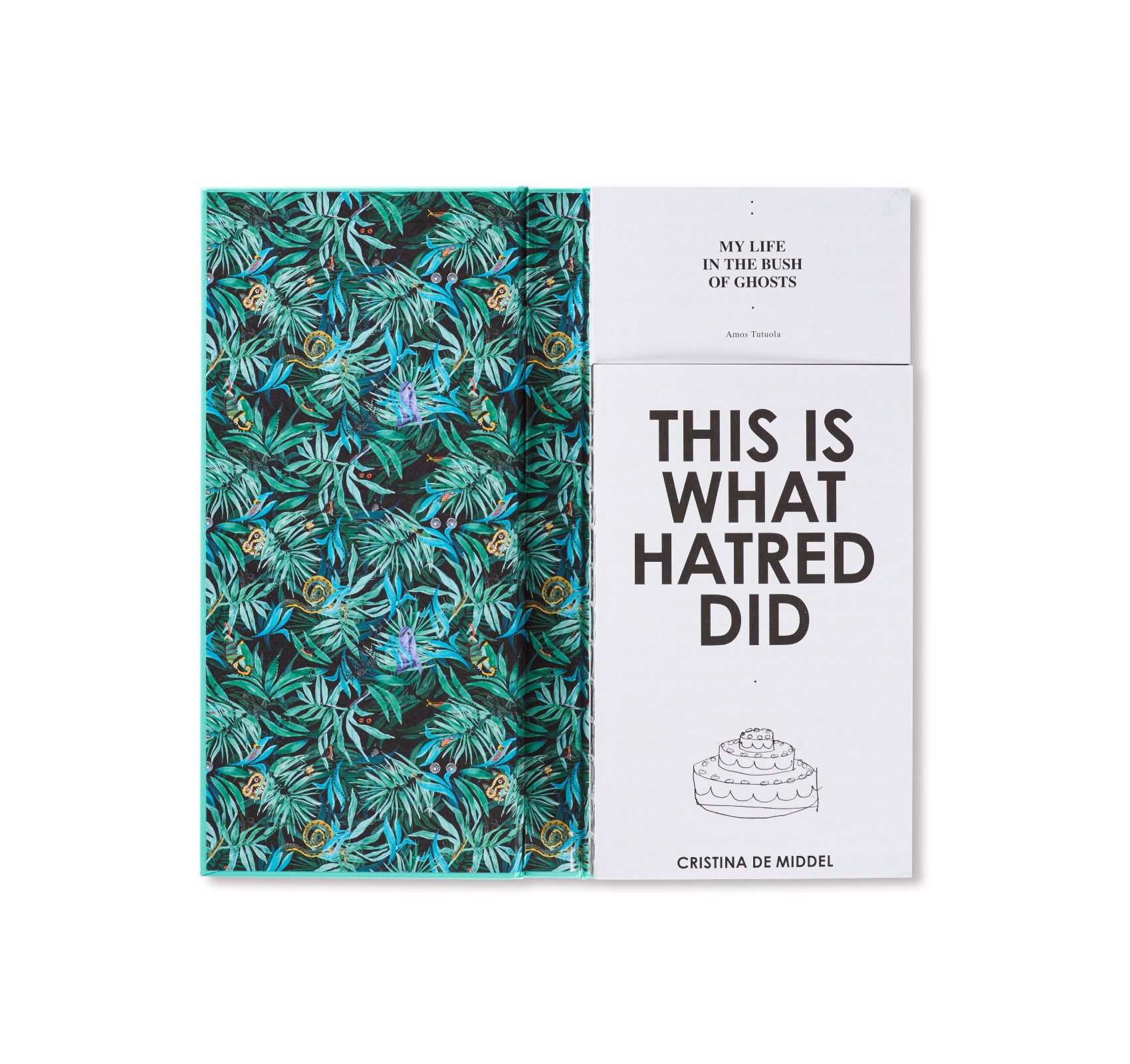 THIS IS WHAT HATRED DID by Cristina de Middel