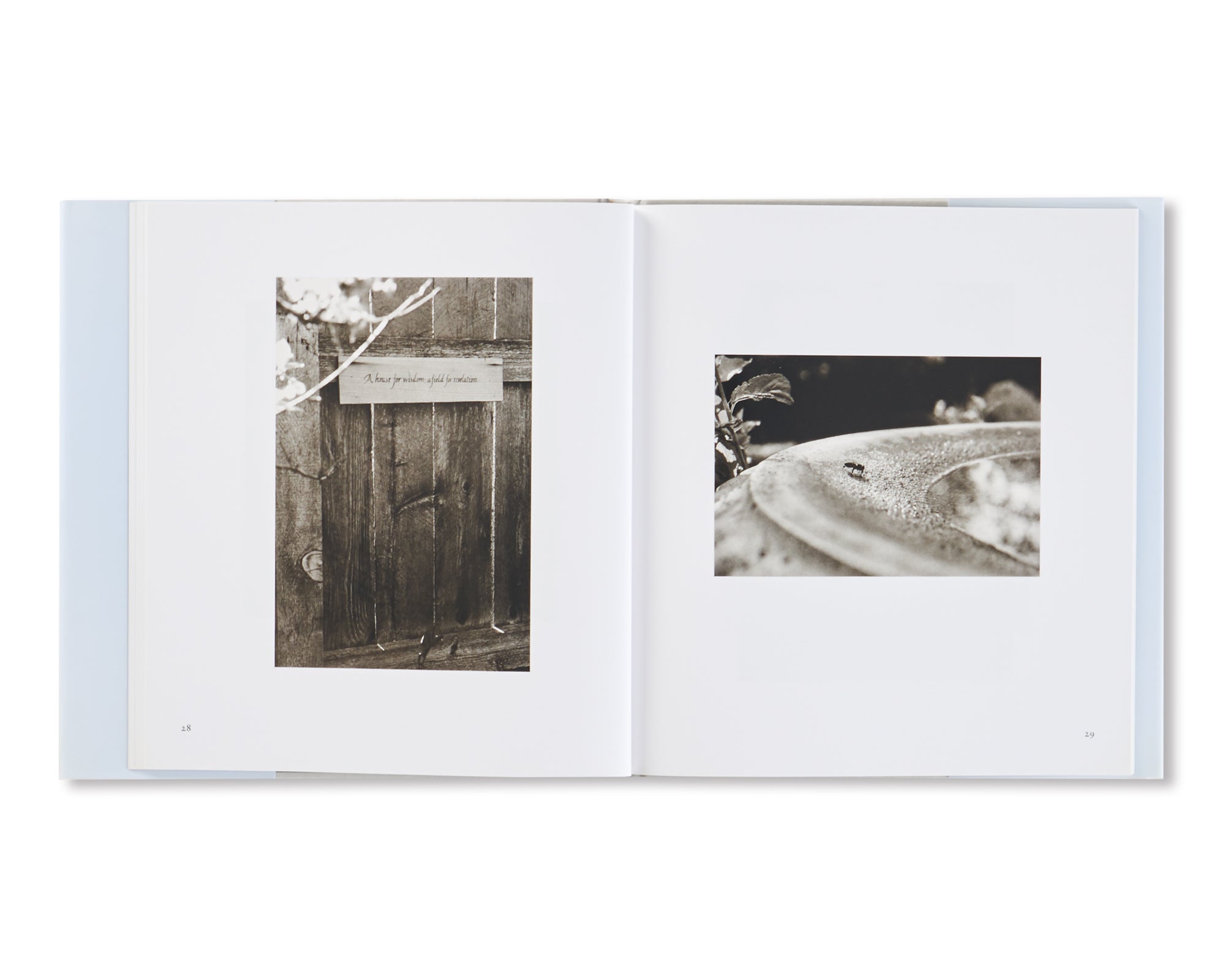 I HEAR THE LEAVES AND LOVE THE LIGHT by Robert Adams [SIGNED]