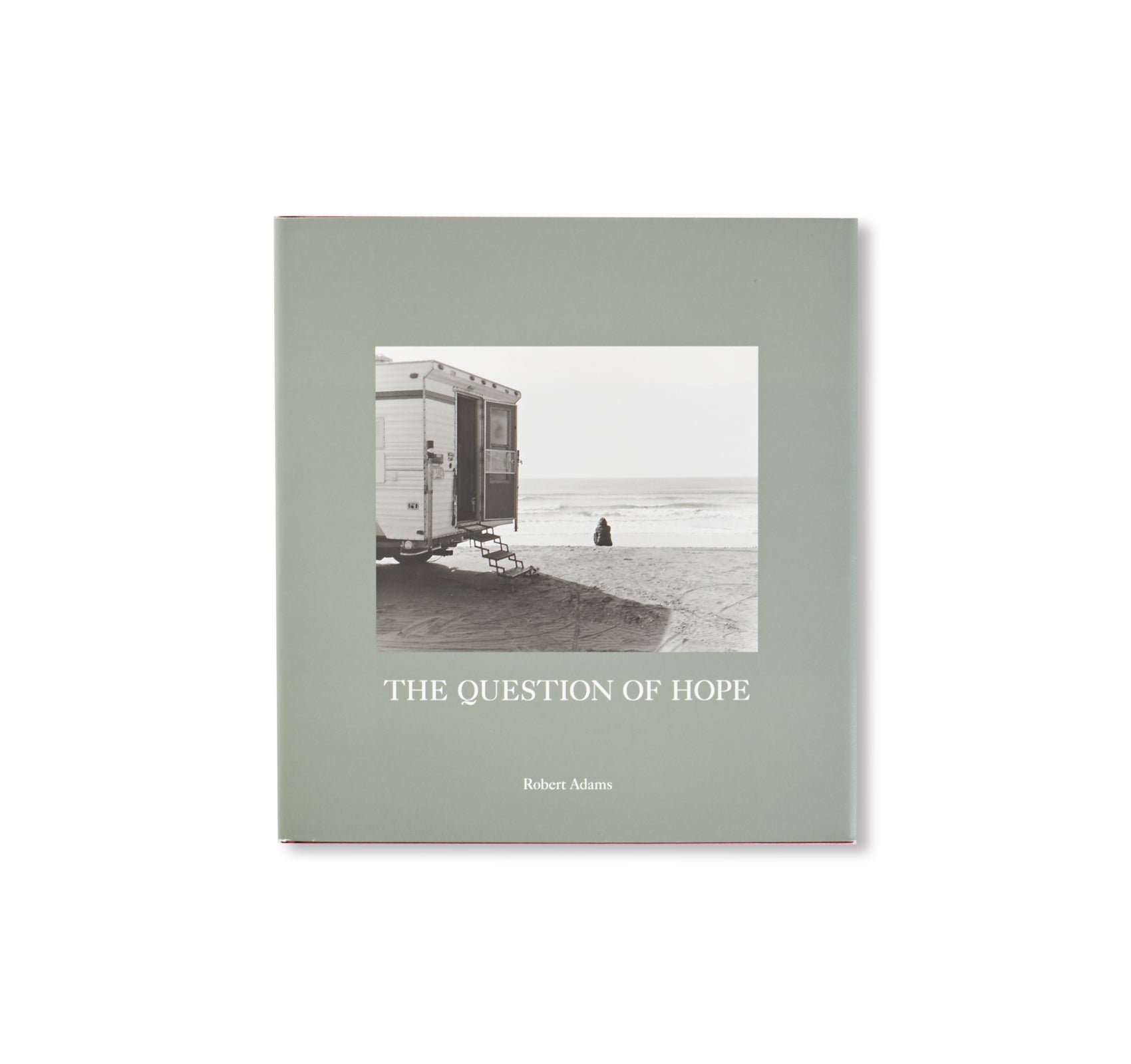 THE QUESTION OF HOPE by Robert Adams