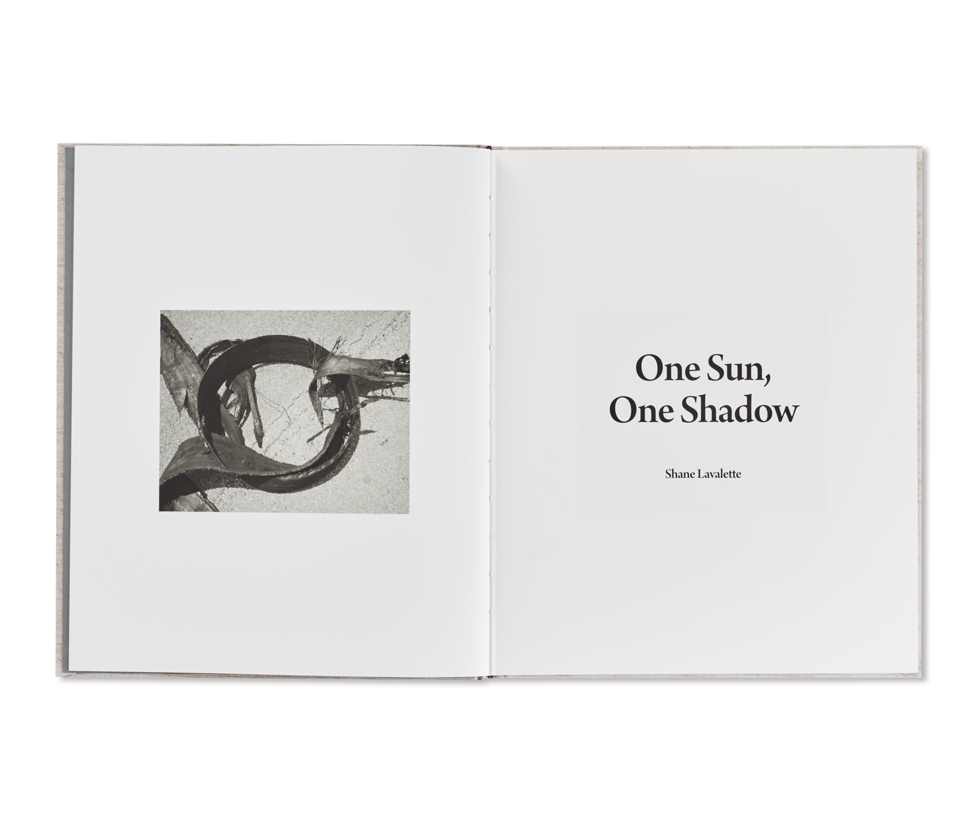 ONE SUN, ONE SHADOW by Shane Lavalette [SIGNED]