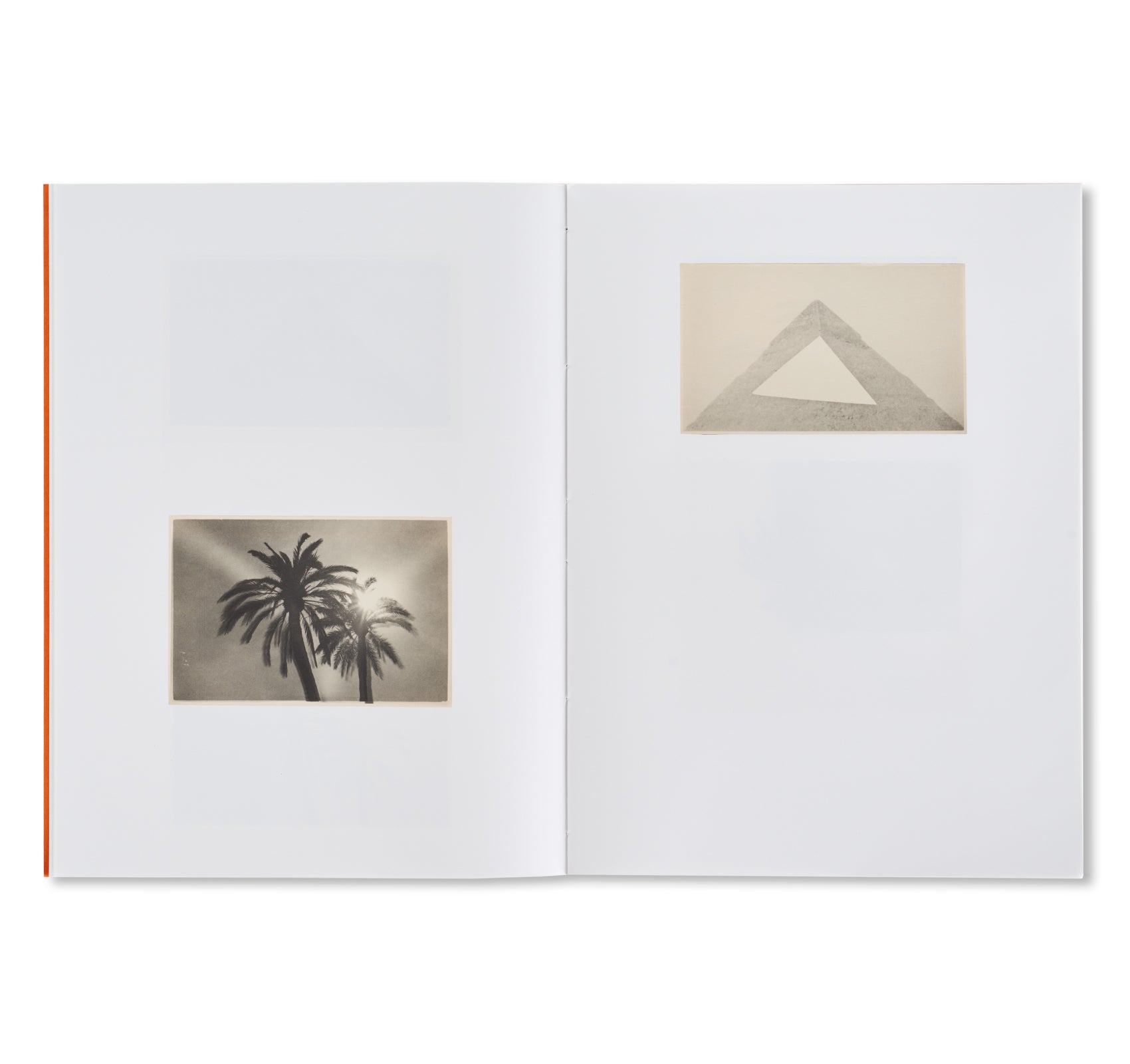 THE PYRAMIDS AND PALM TREES TEST by Bruno V. Roels