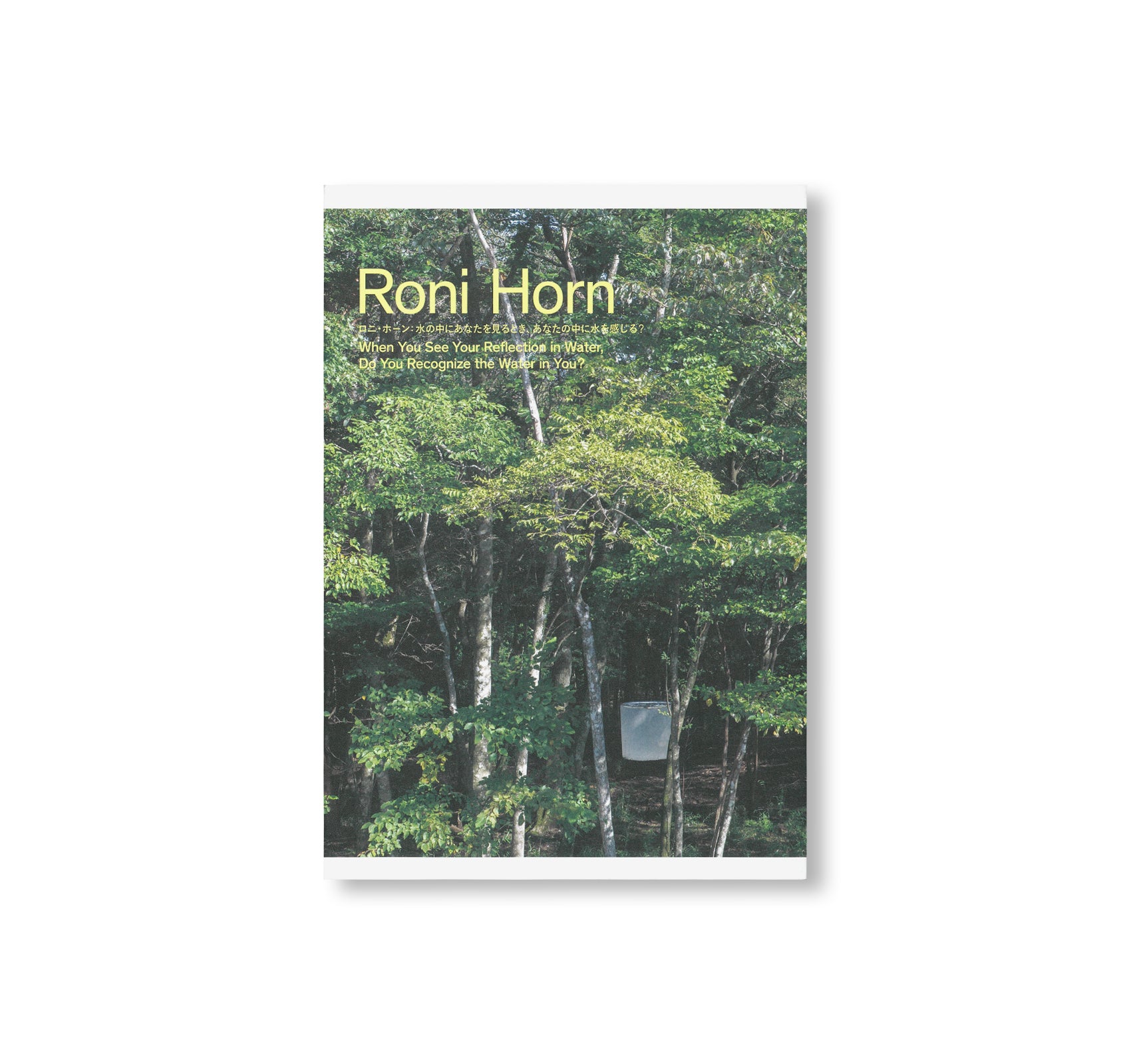 RECOGNIZE　REFLECTION　THE　WHEN　YOU　WATER,　IN　YOU　twelvebooks　SEE　HORN:　DO　–　RONI　YOUR