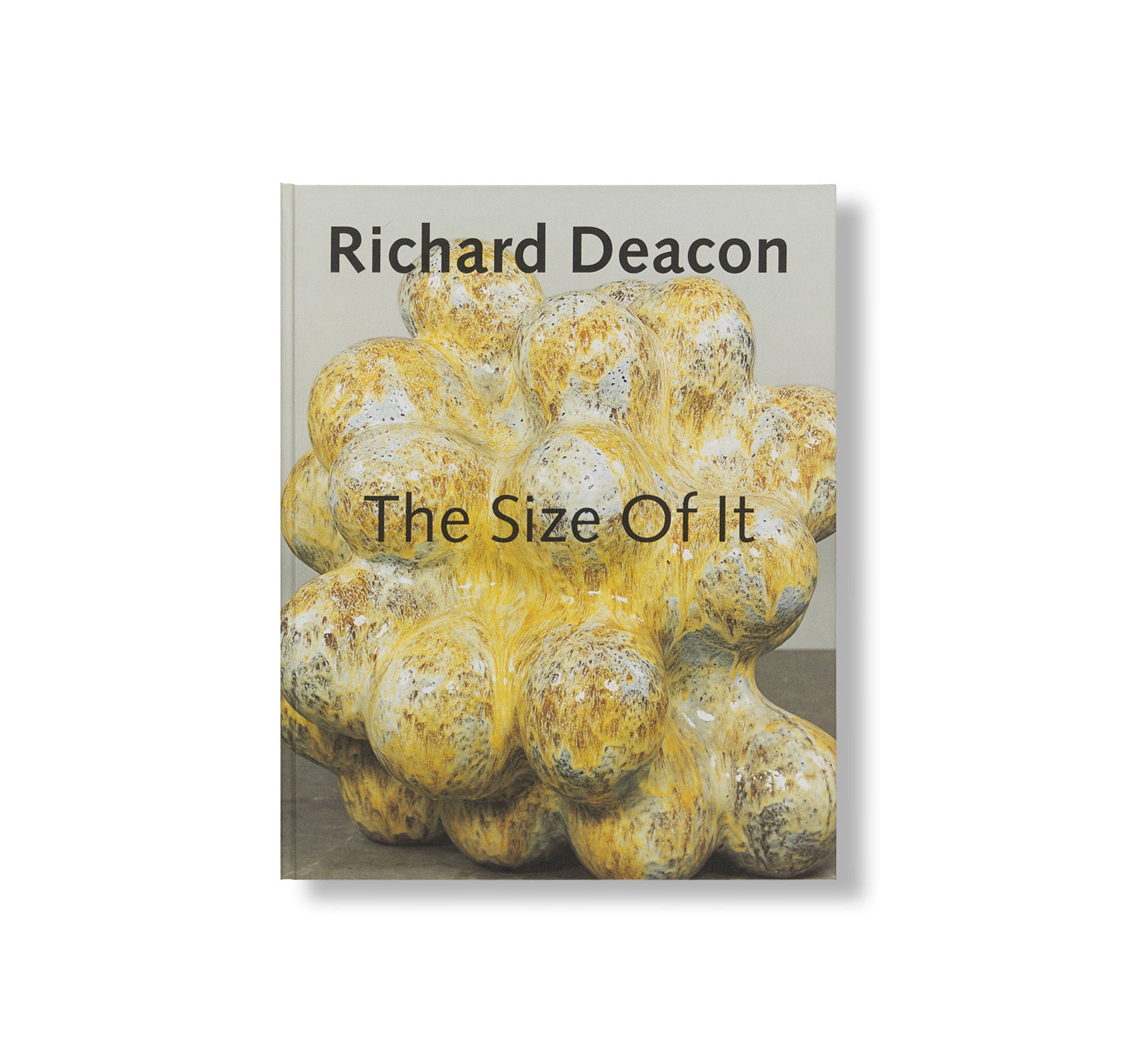THE SIZE OF IT by Richard Deacon