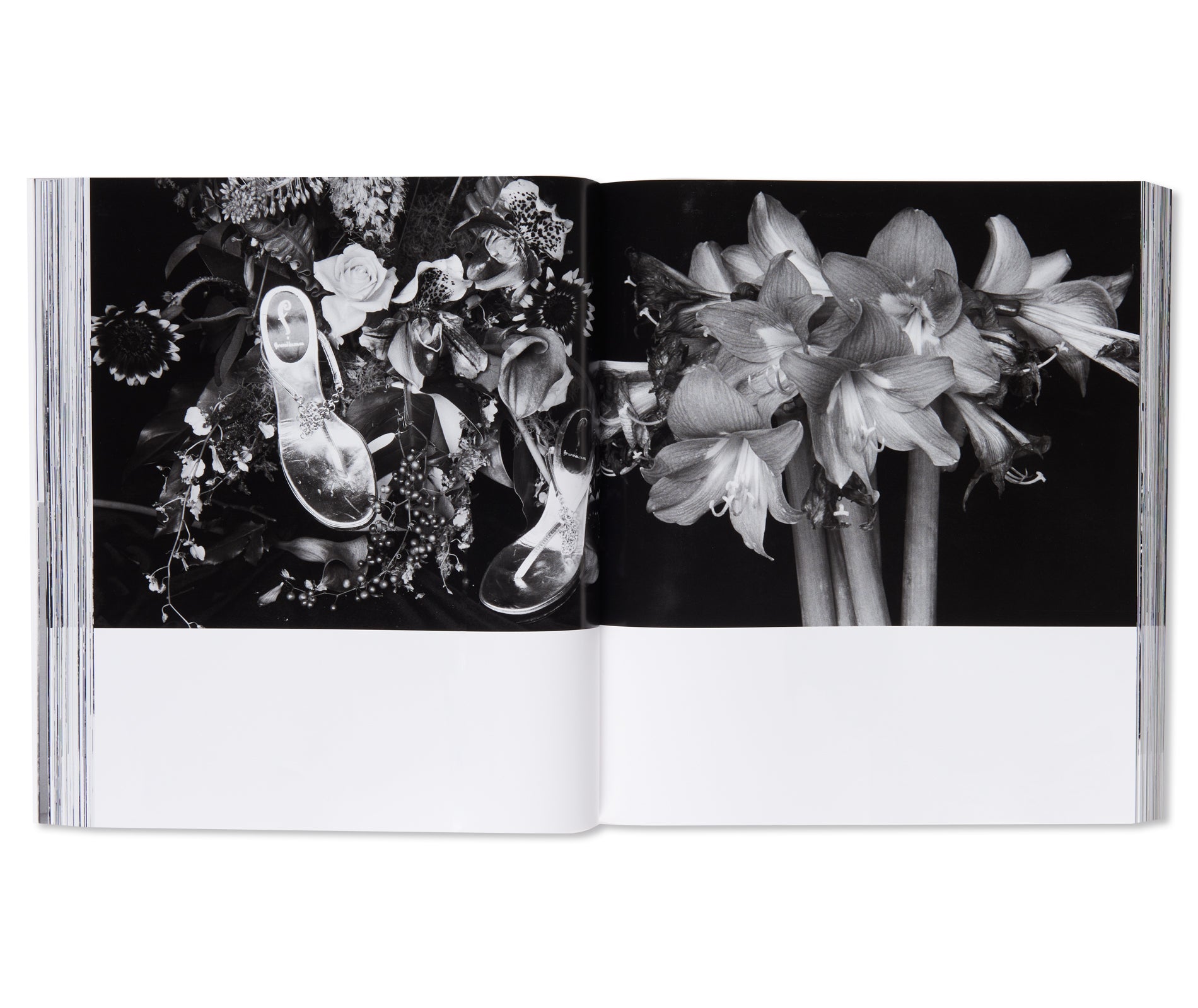 愛ノ花 / AI NO HANA by Nobuyoshi Araki