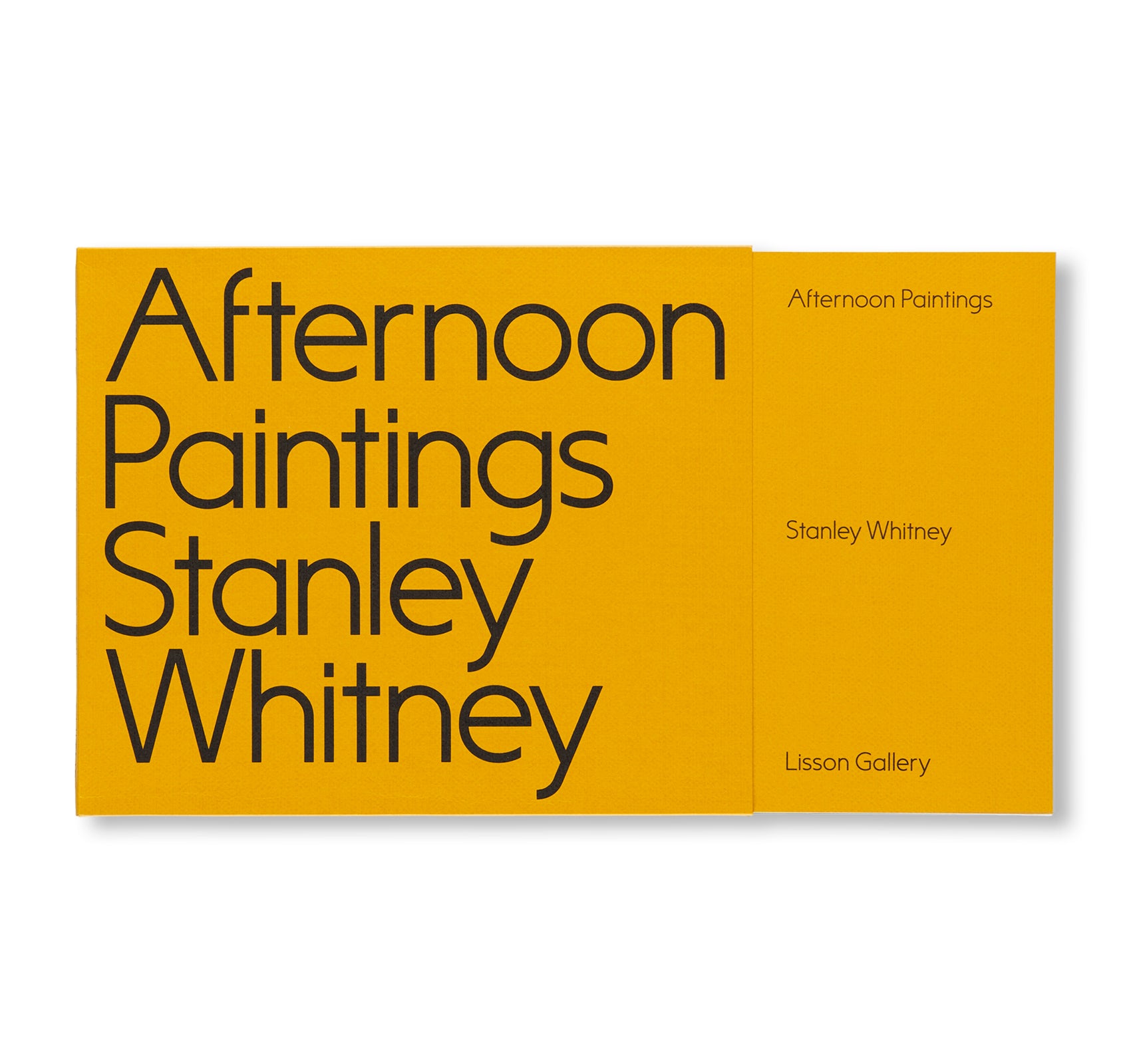 AFTERNOON PAINTINGS by Stanley Whitney