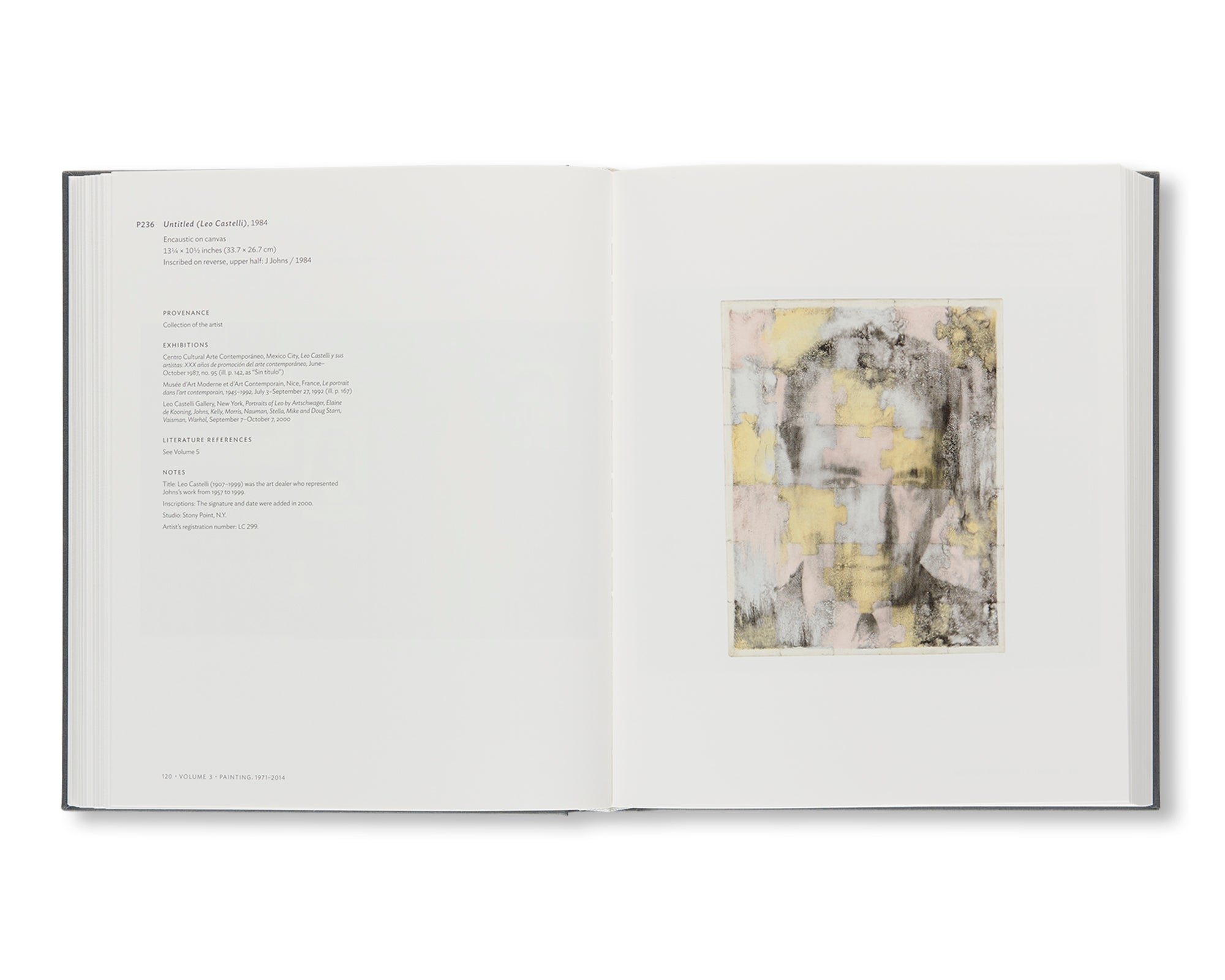 JASPER JOHNS: CATALOGUE RAISONNÉ OF PAINTING AND SCULPTURE by Roberta Bernstein