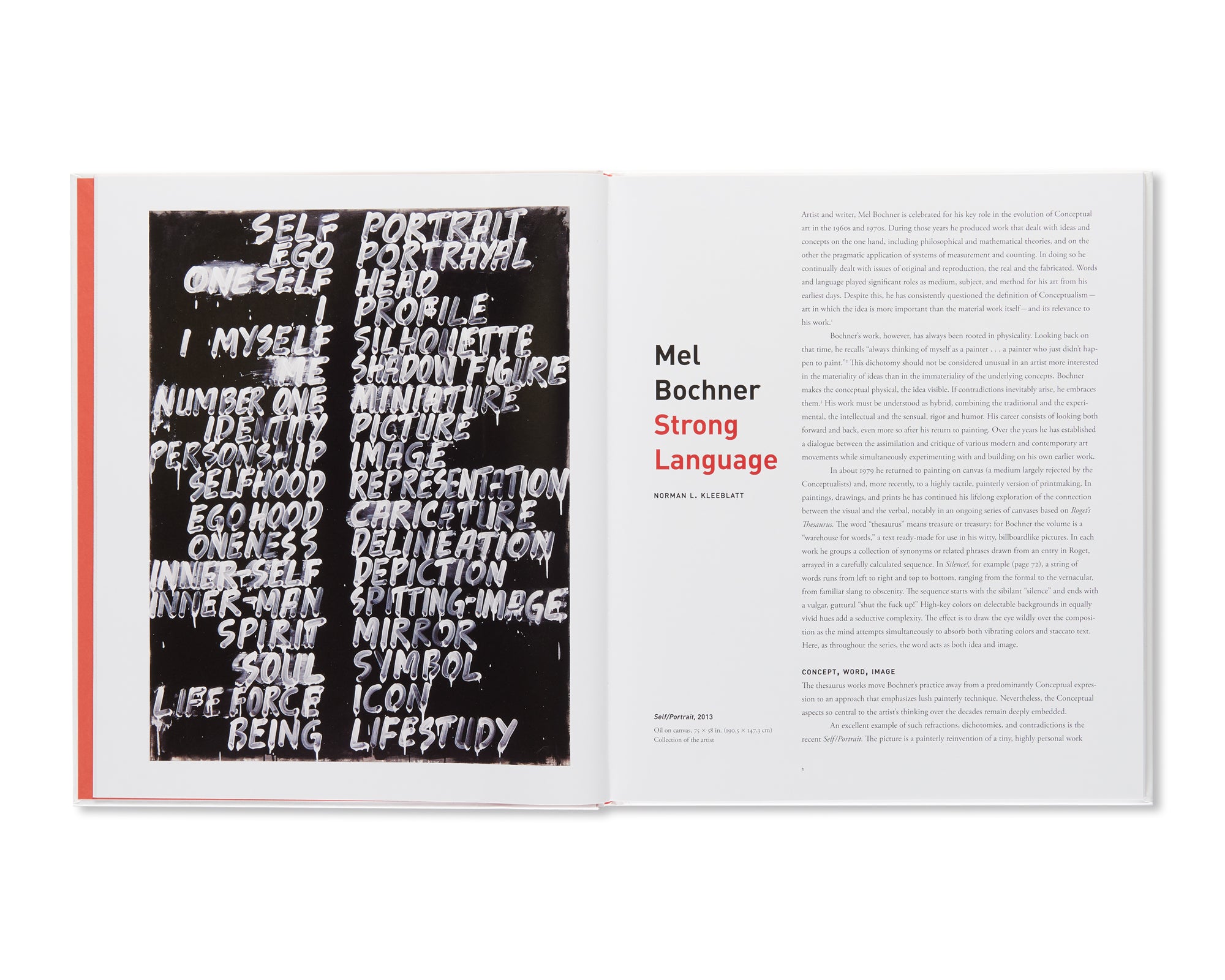 STRONG LANGUAGE by Mel Bochner