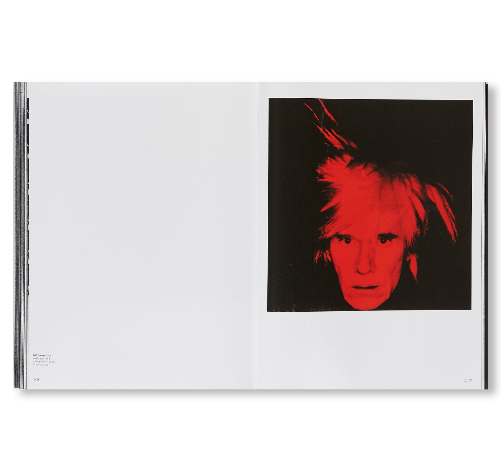 ANDY WARHOL by Andy Warhol [SOFTCOVER]