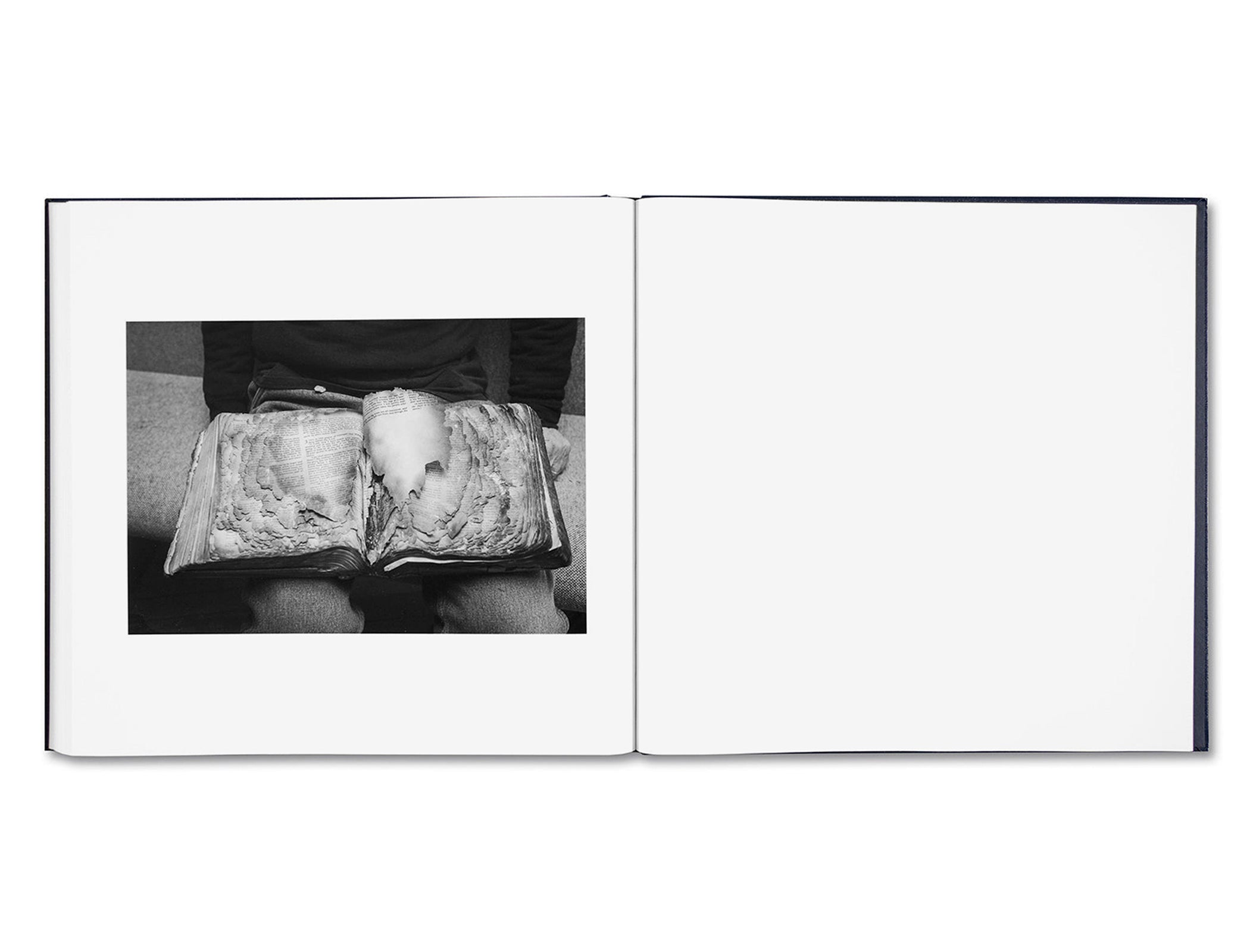SOME SAY ICE by Alessandra Sanguinetti [SIGNED SLIP]