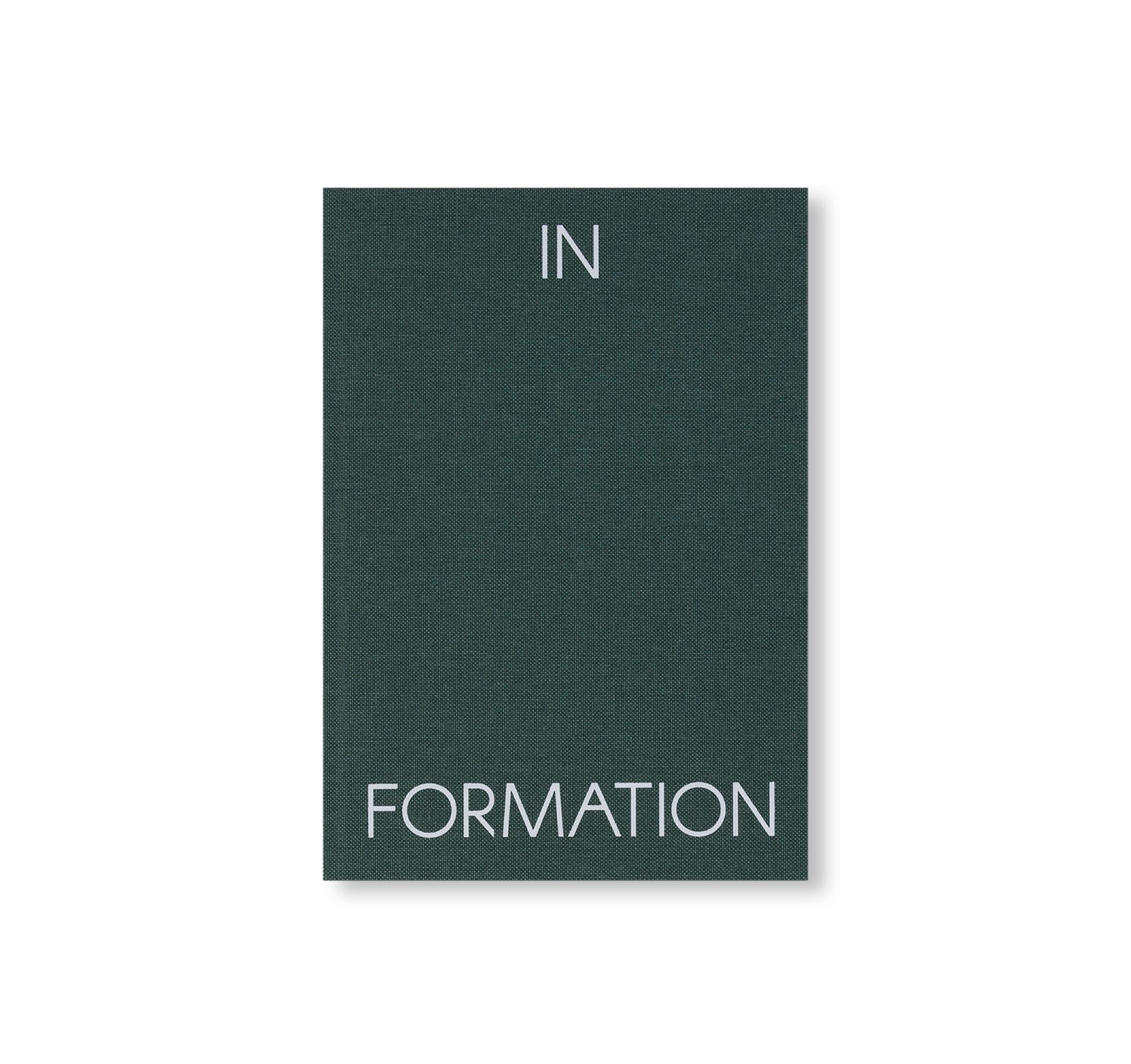 IN FORMATION by Antony Gormley